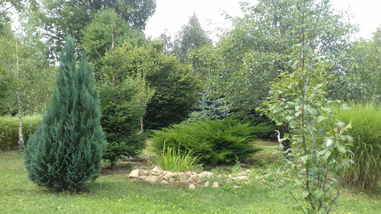 Photo 64