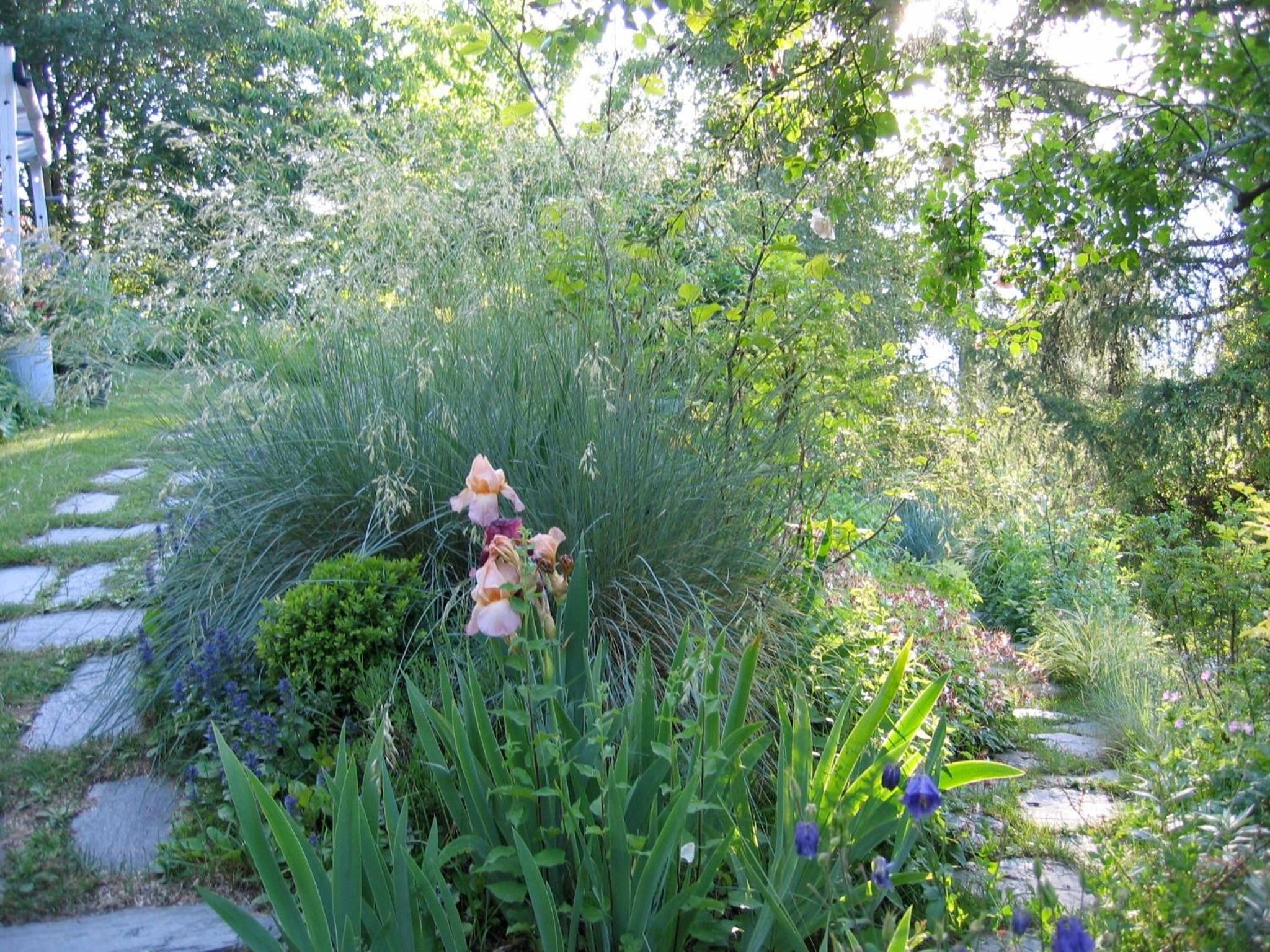 Photo 16
