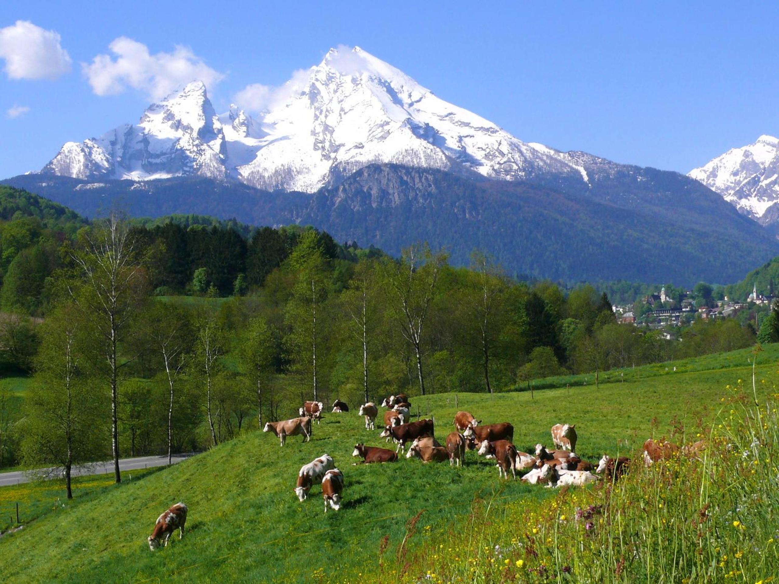 Ferienwohnungen Oberau