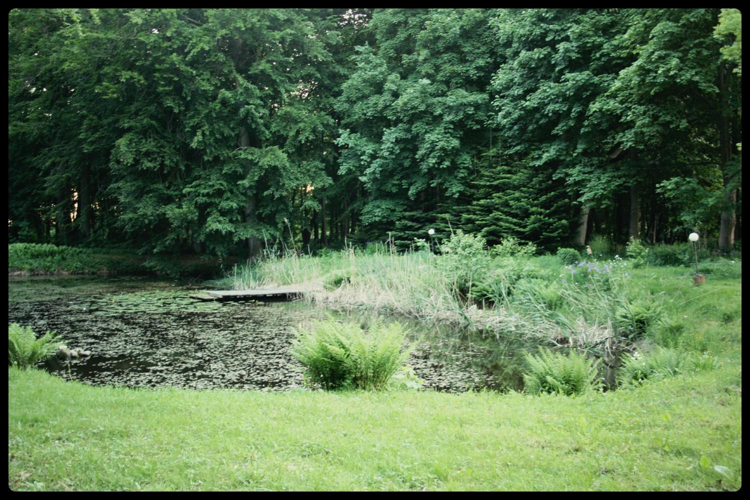 Photo 38