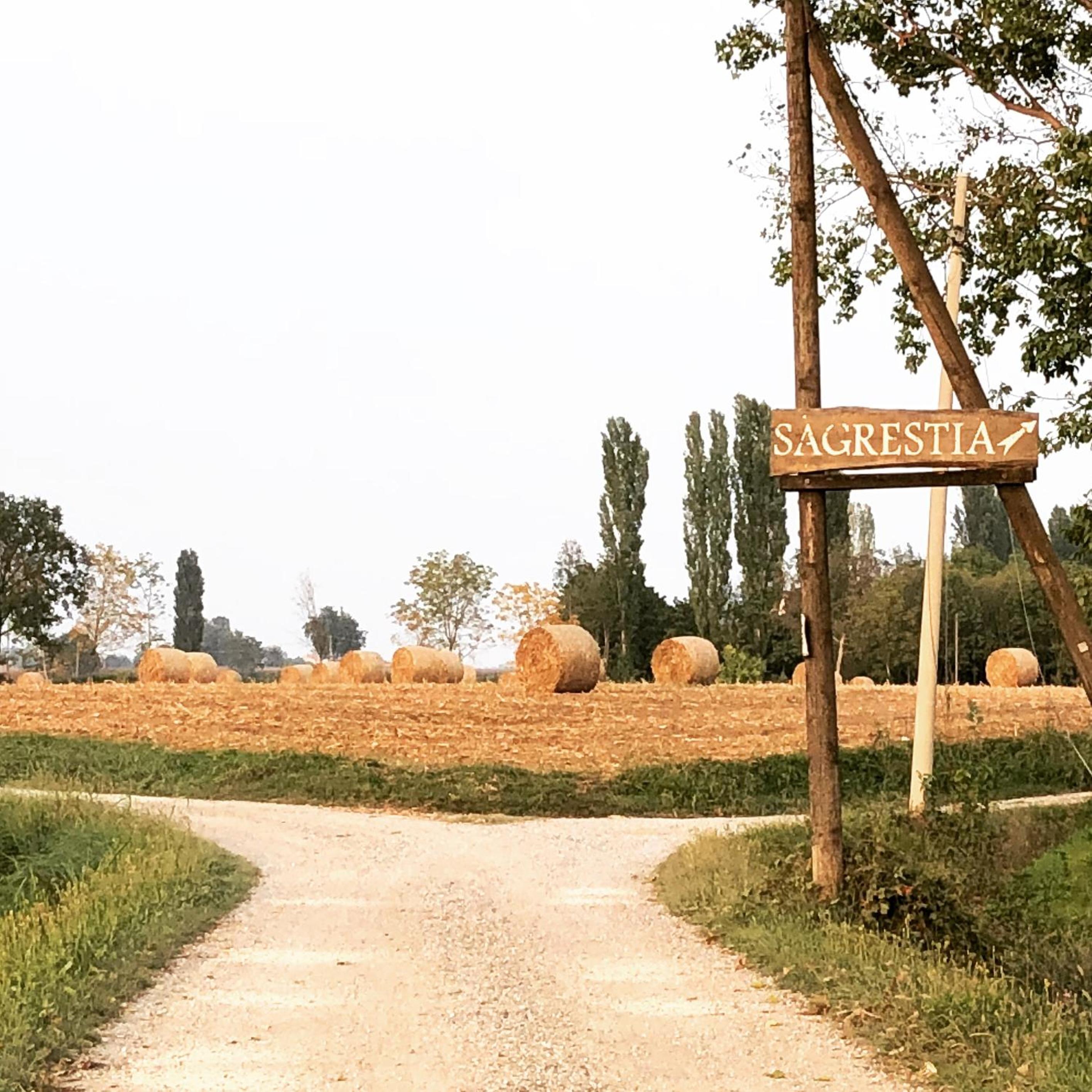 B&B Cascina Sagrestia view 5