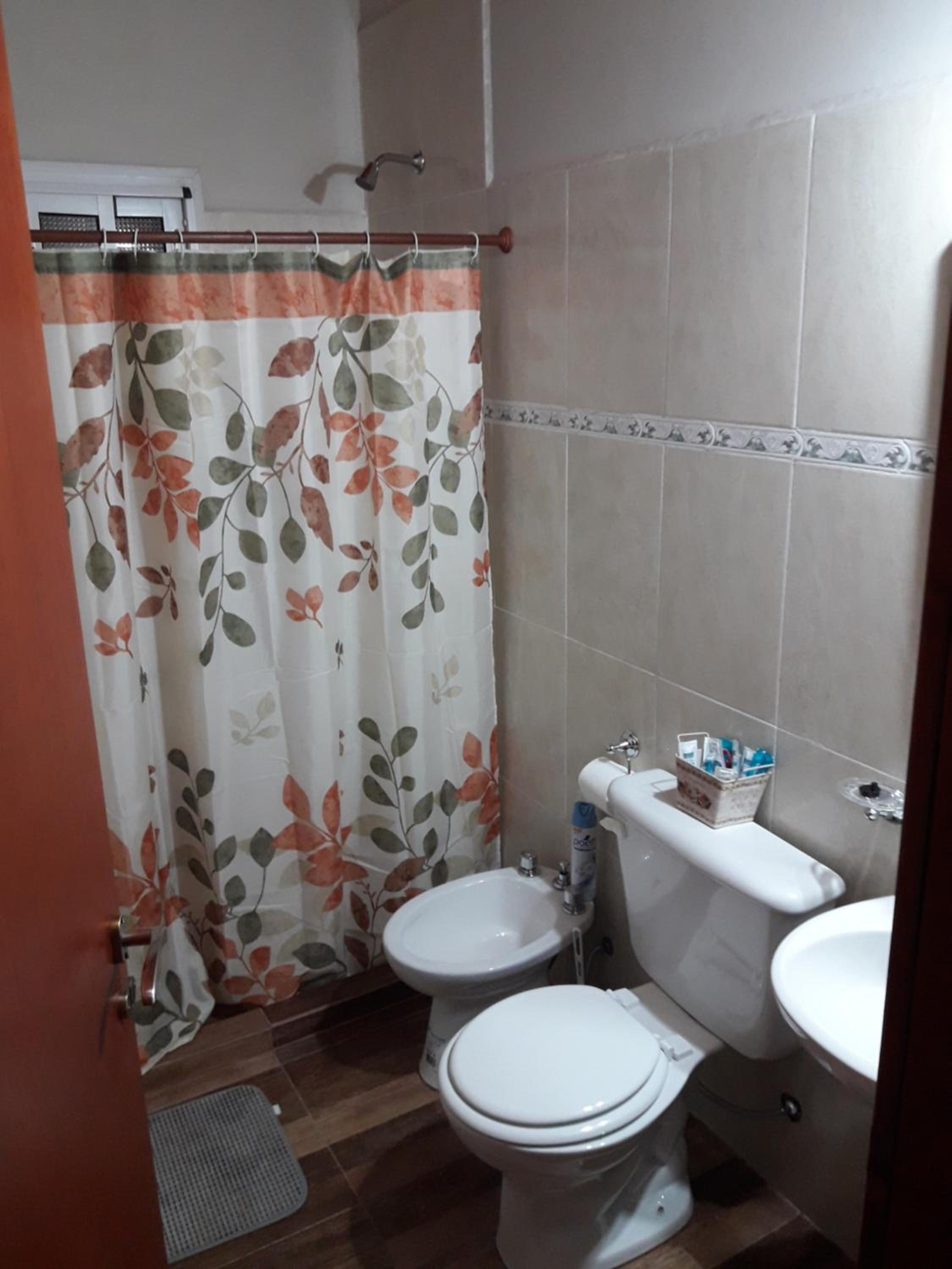 Departamento Teodelina