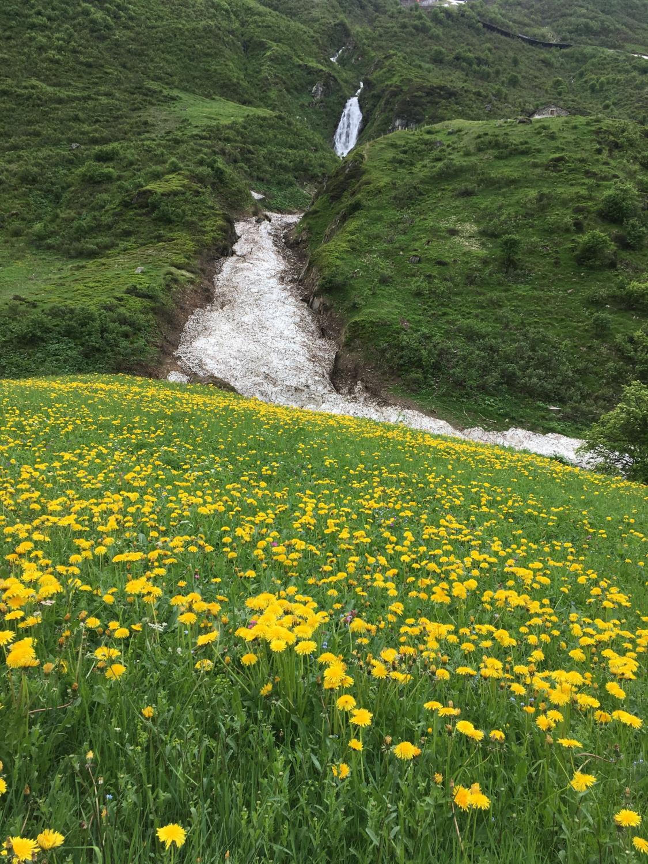 Photo 46