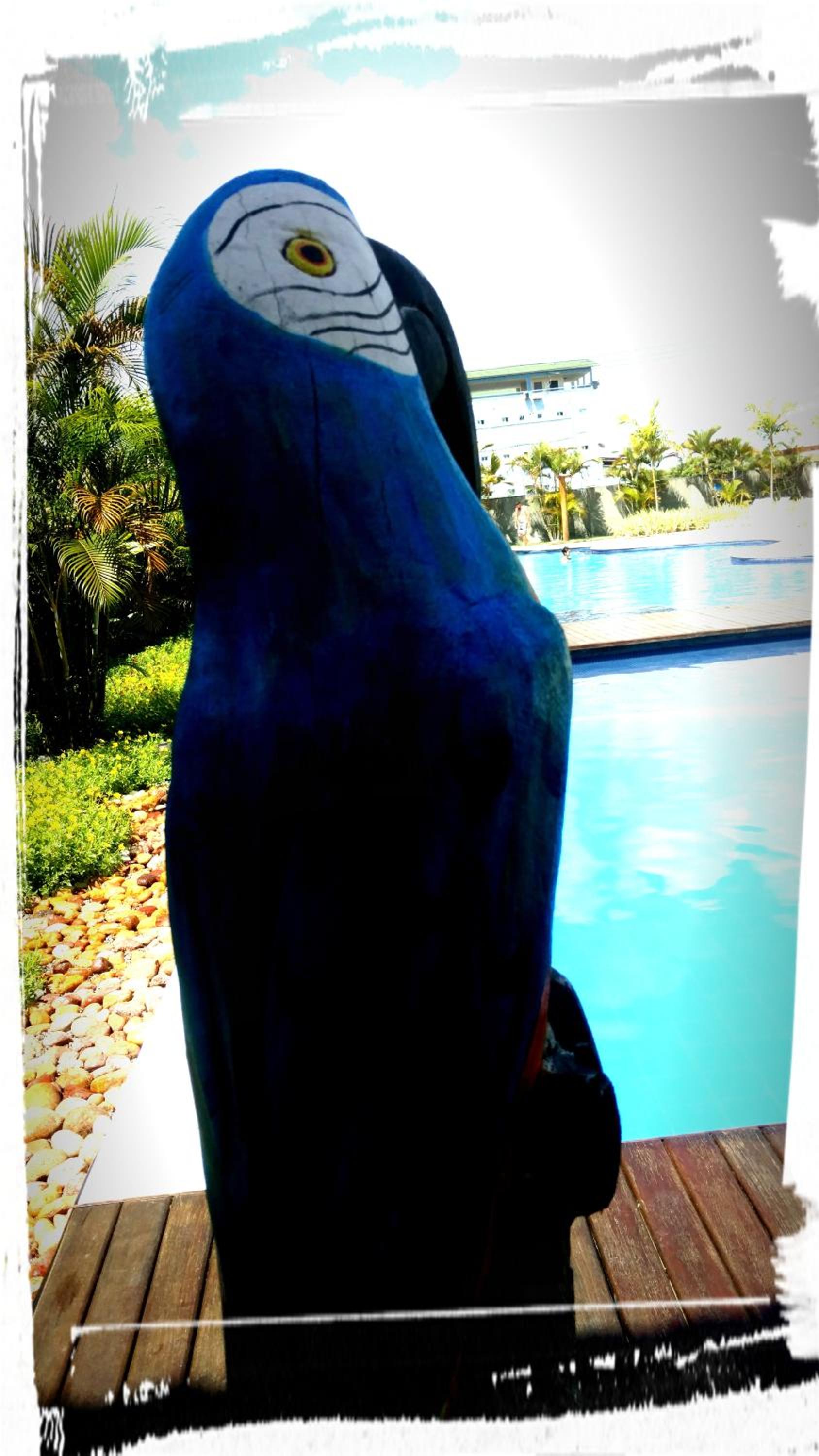 Laguna Beach ConfortFlat