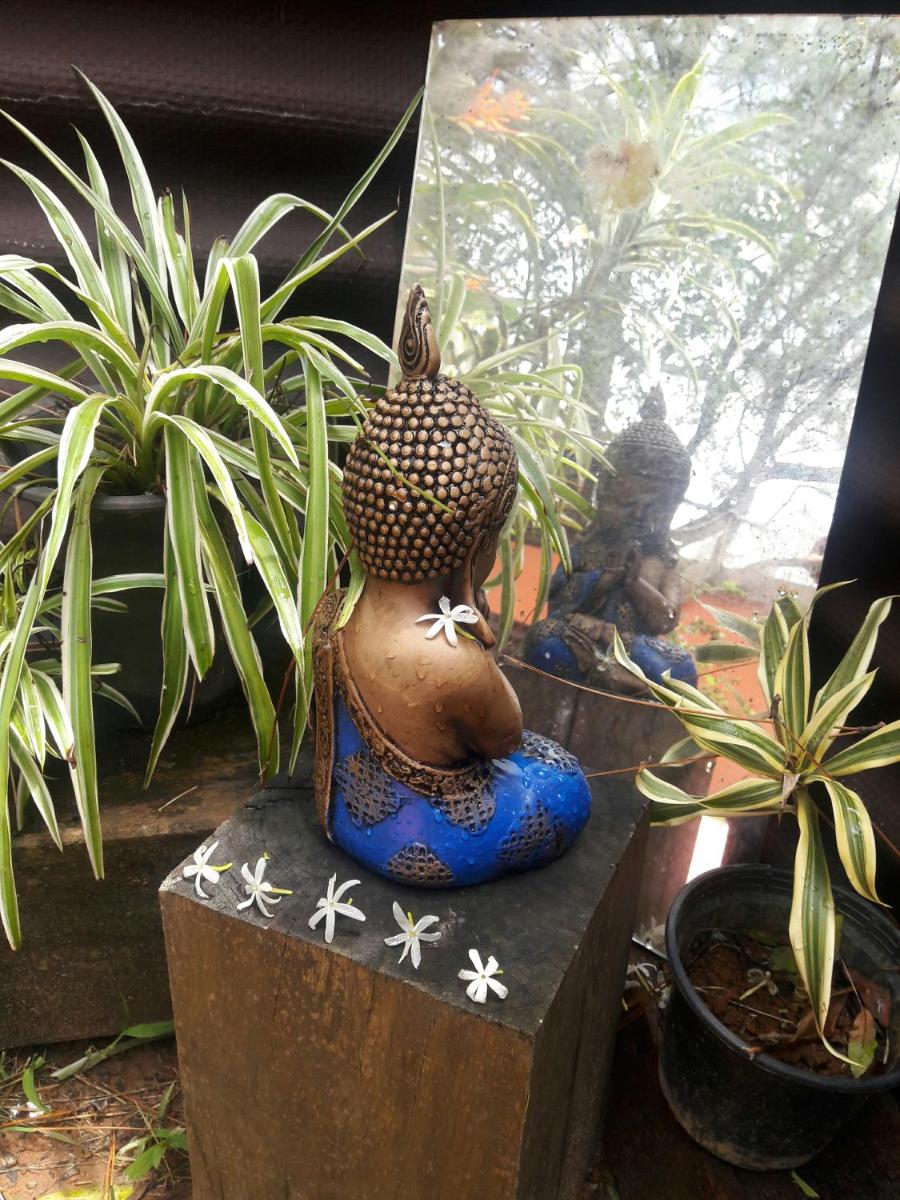Floripa Guest House
