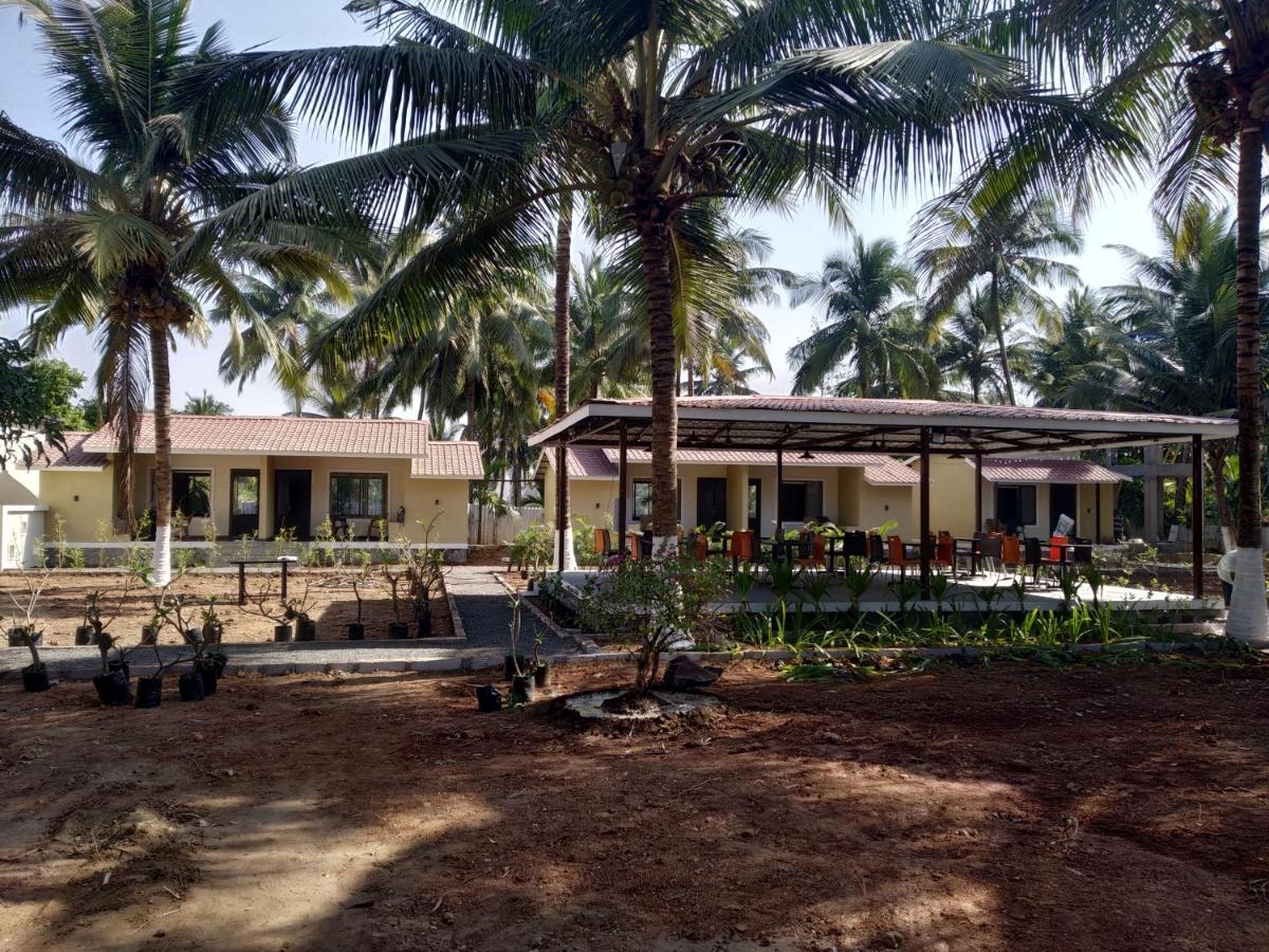 outdoor BBQ area