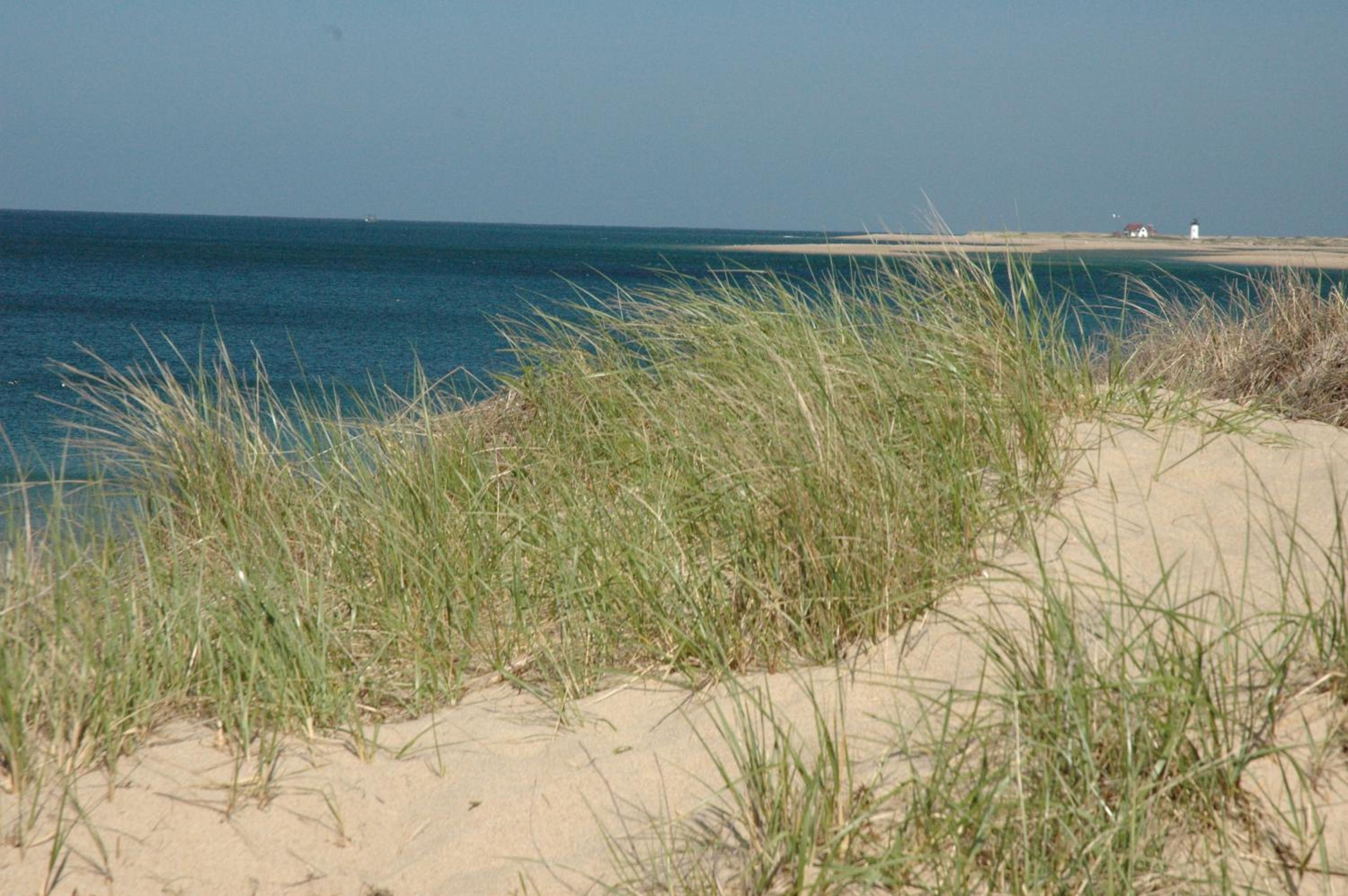 Anchor Inn Beach House