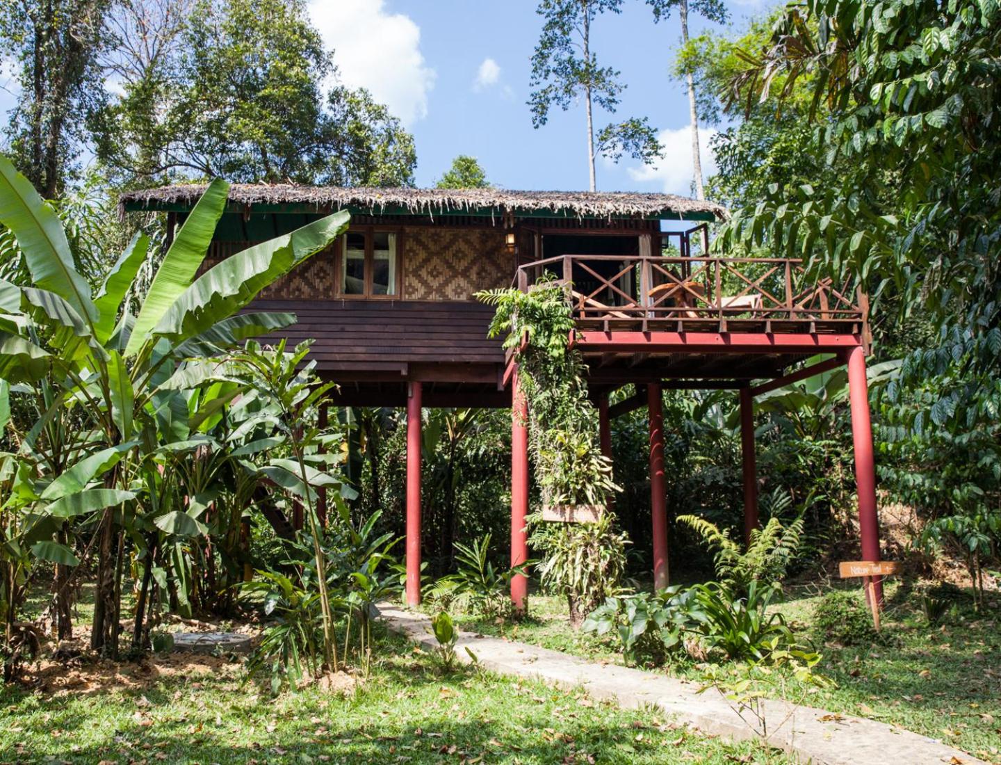 Our Jungle House
