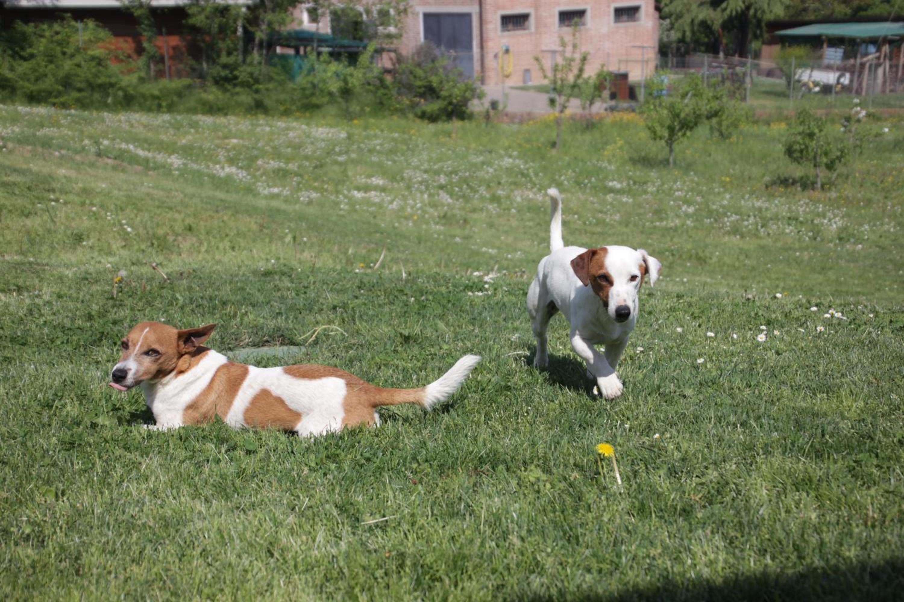 Photo 22