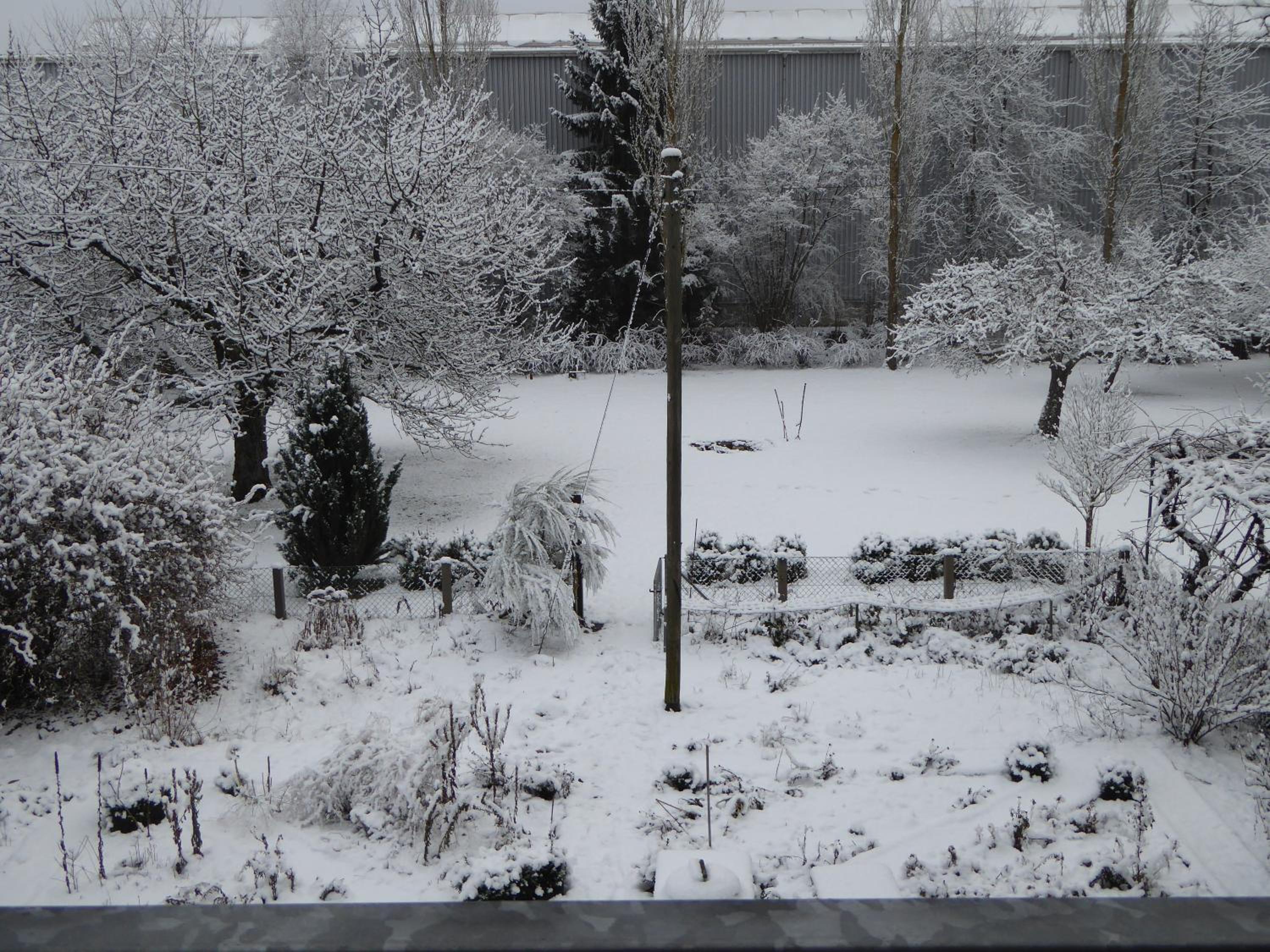 Niederfeld83 view 3