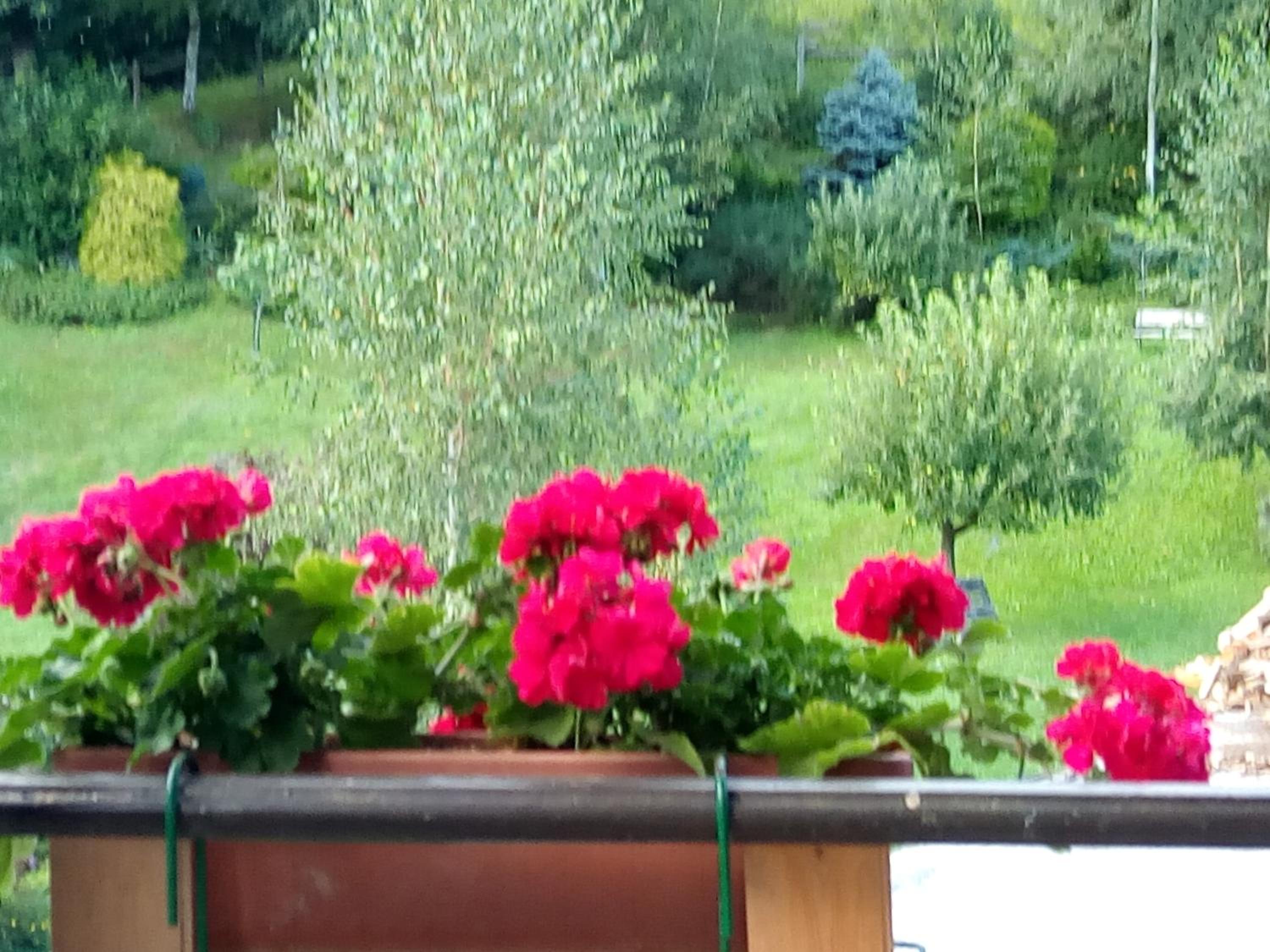 Villa Angela primo piano appartamento view 5