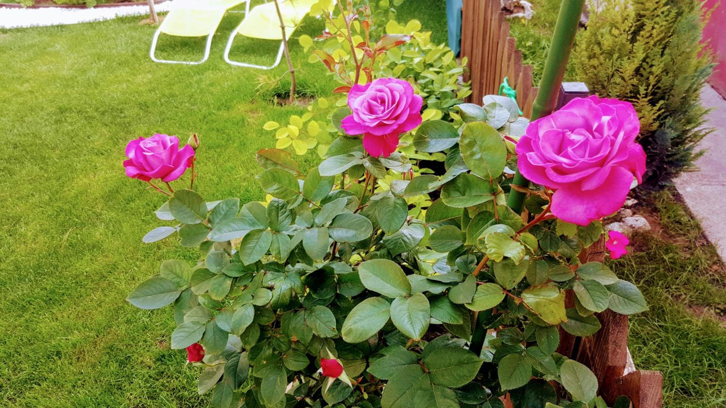 Photo 58