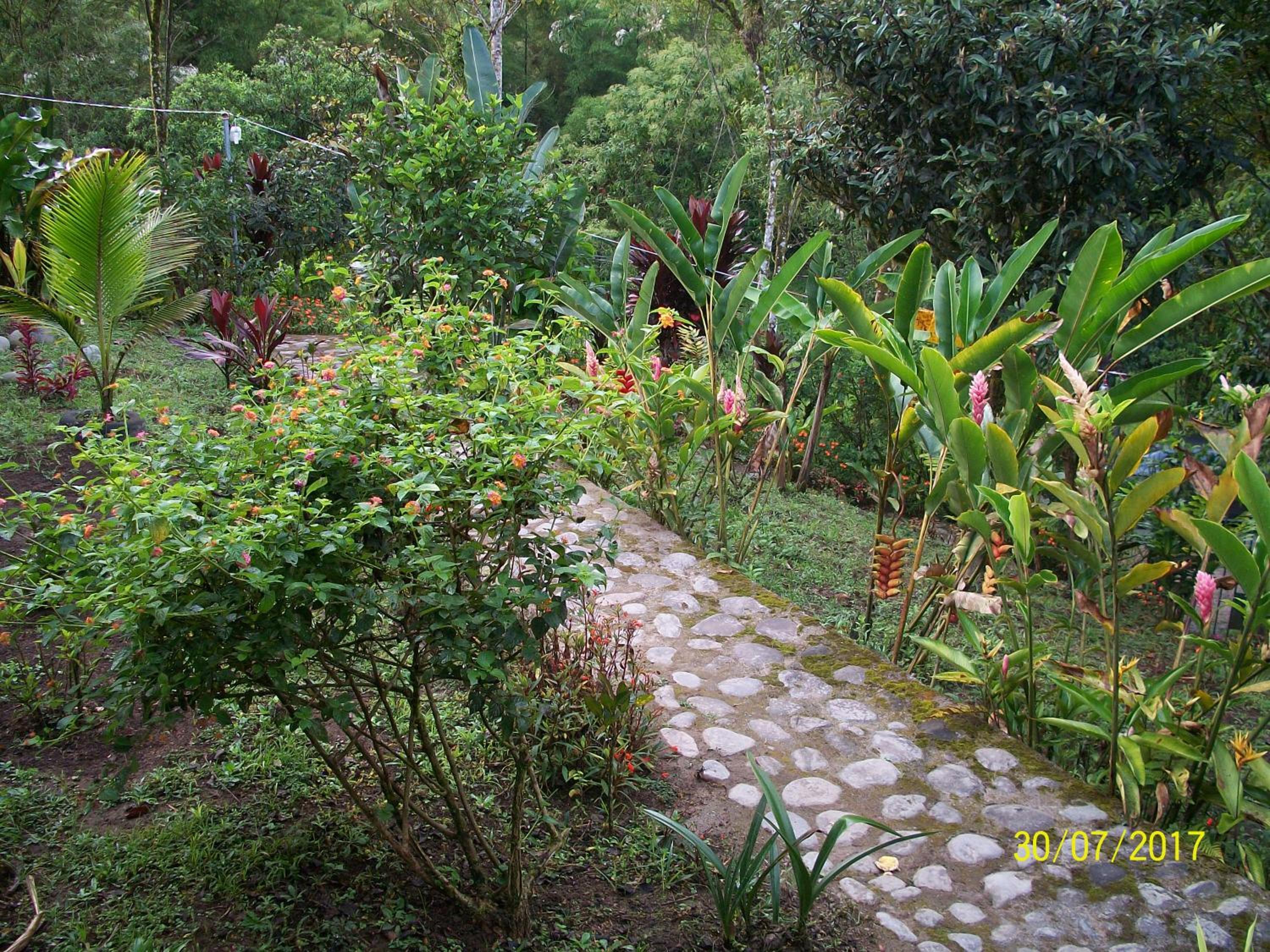 Photo 27
