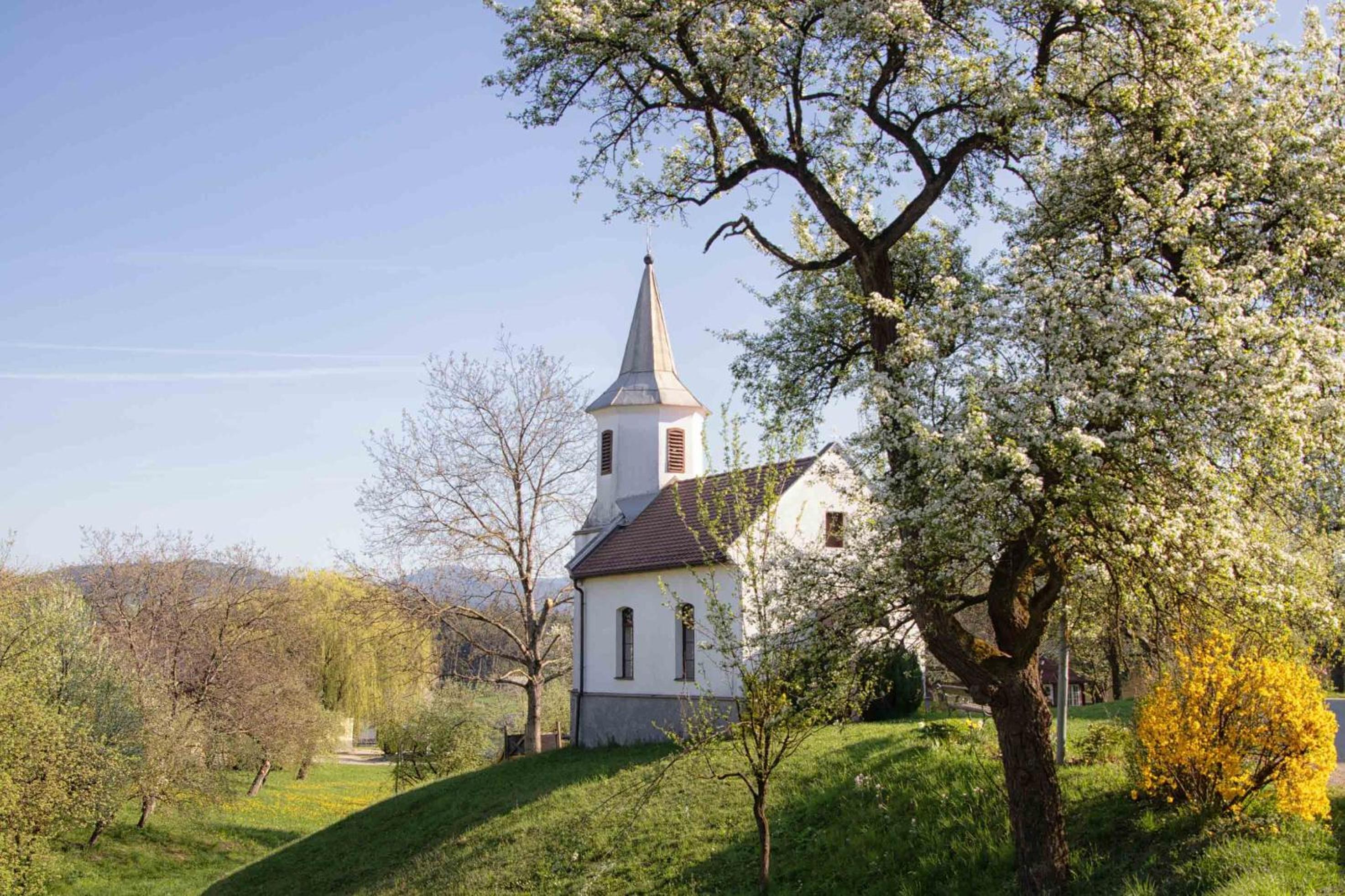 Willi's Bauernhof view 4