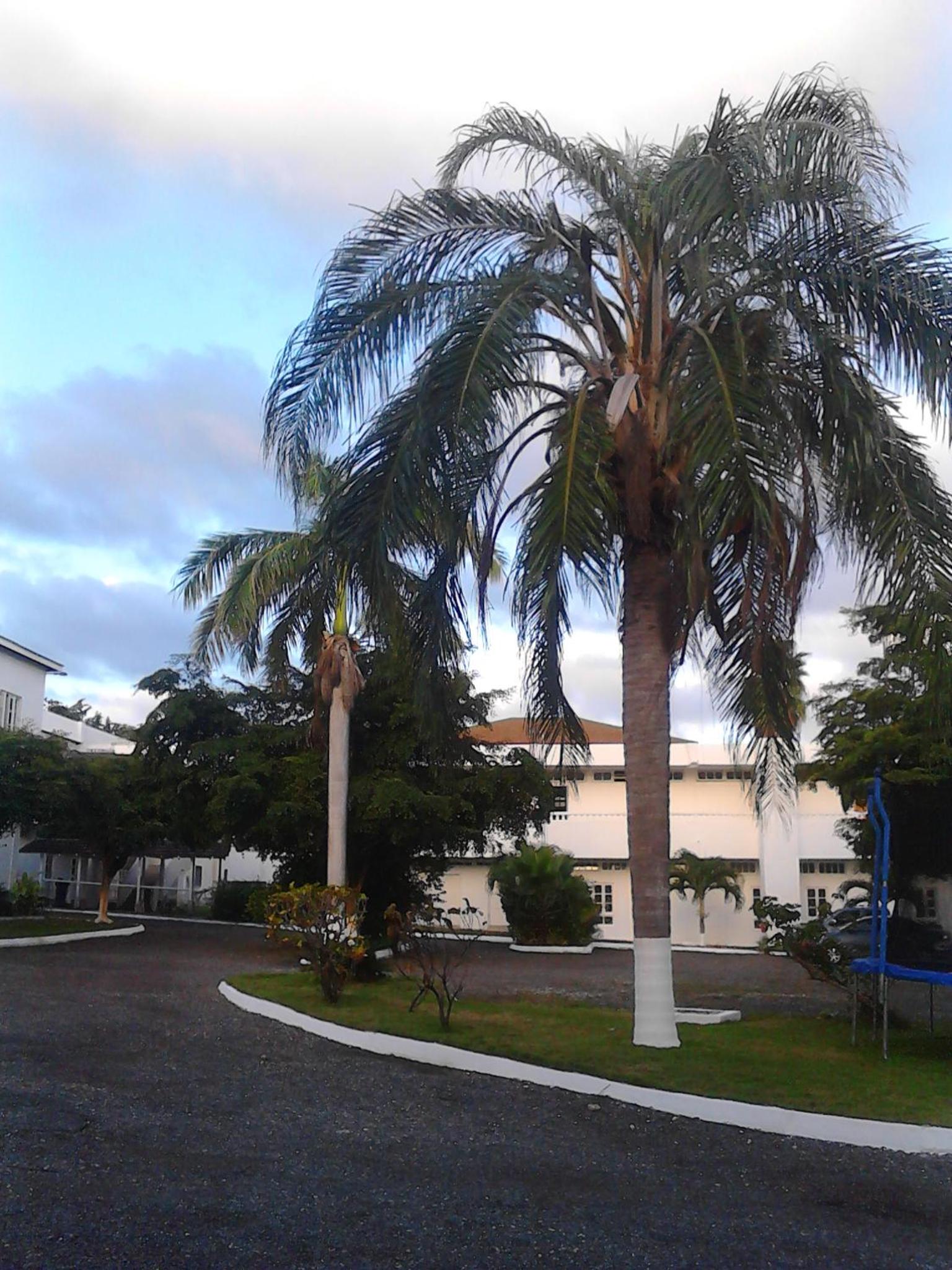 Photo 51