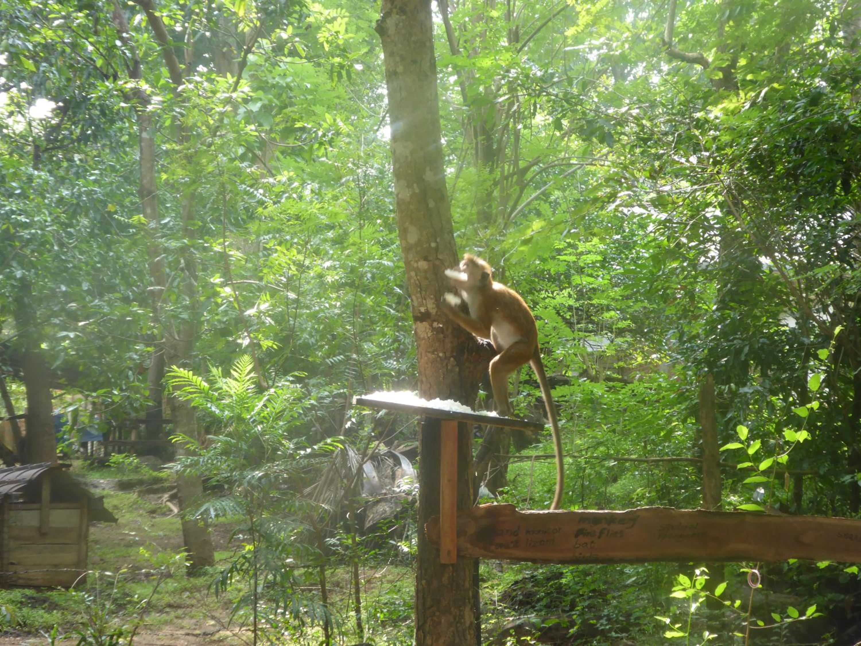 Photo 25