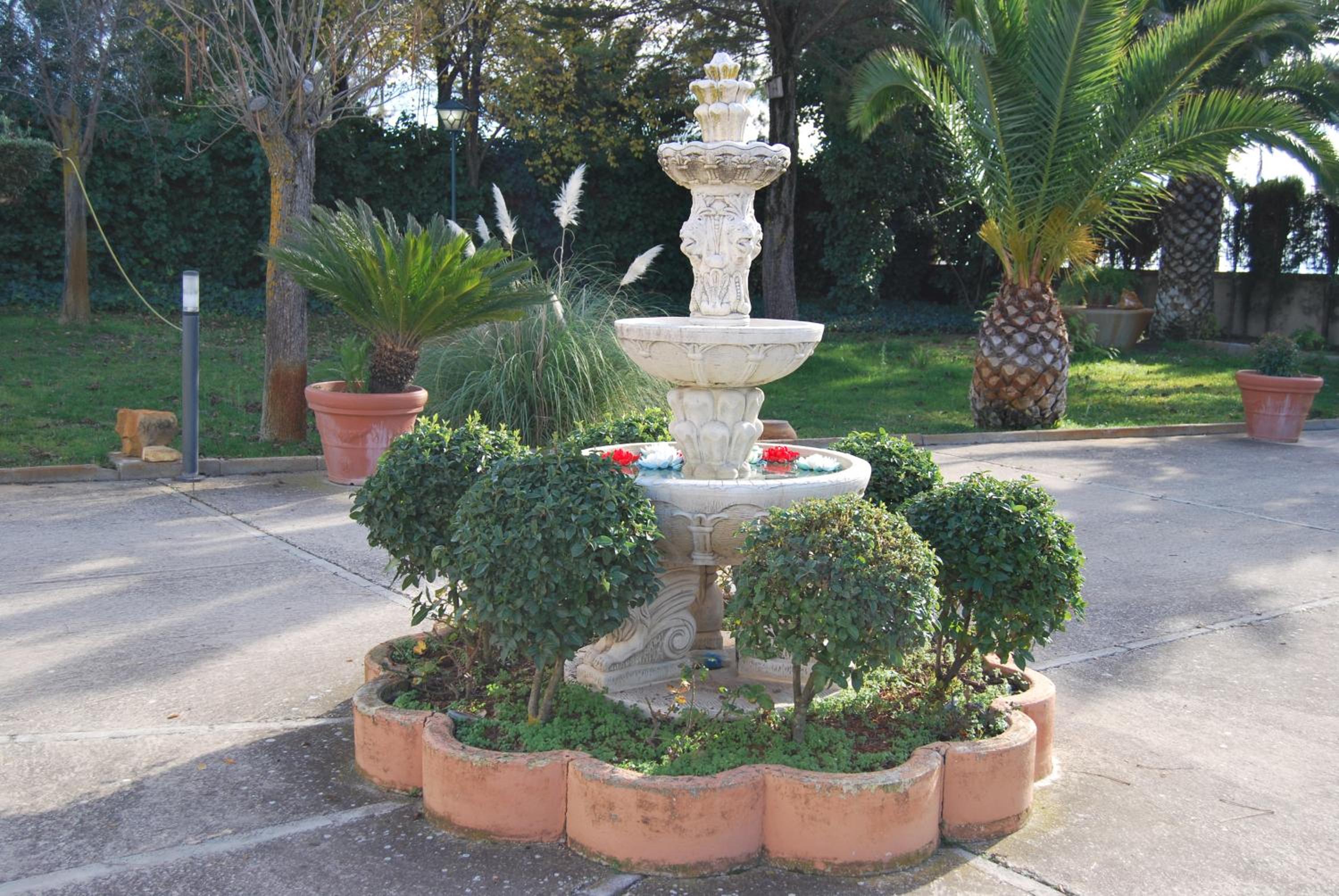 Photo 43