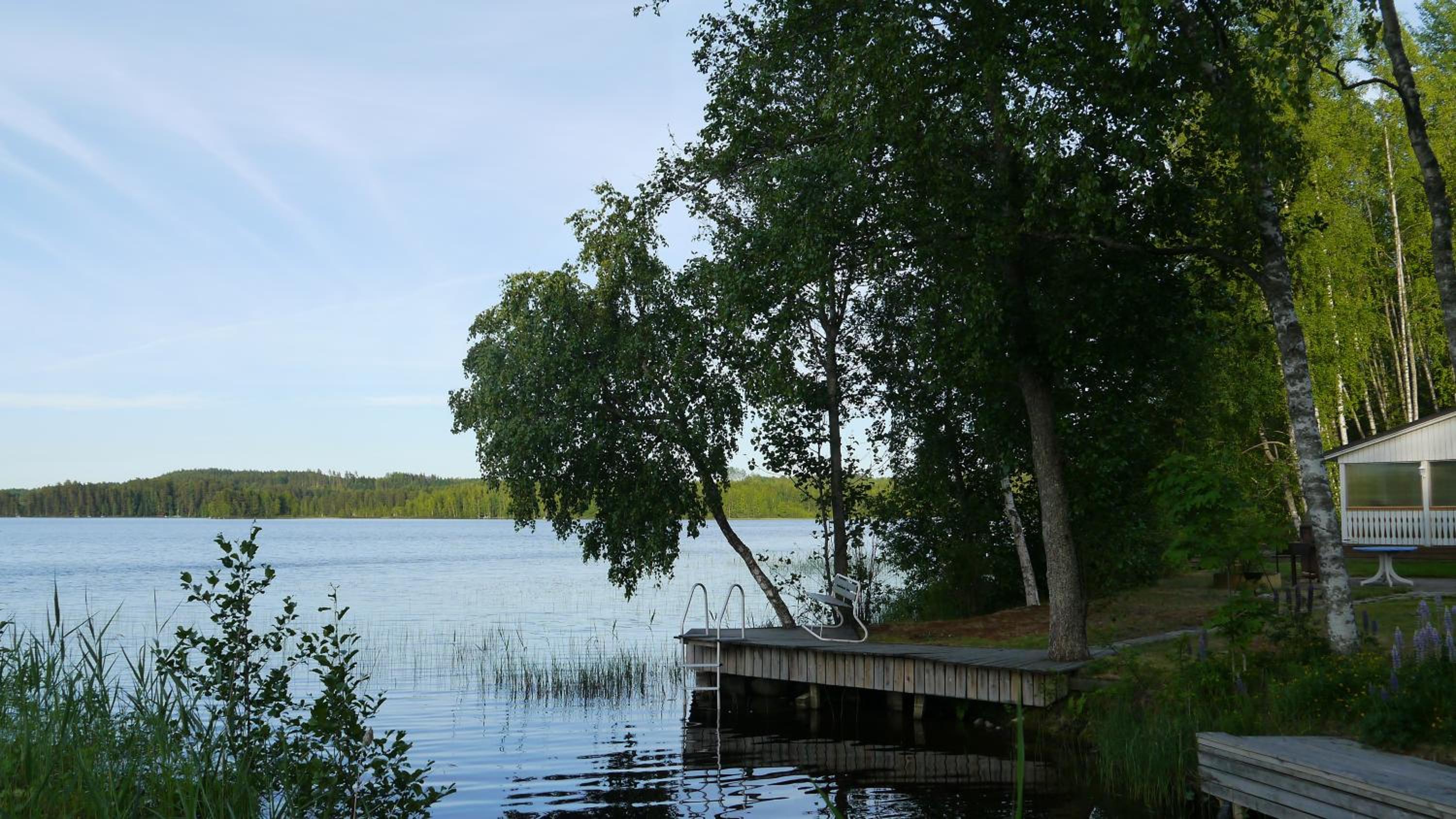 Photo 43