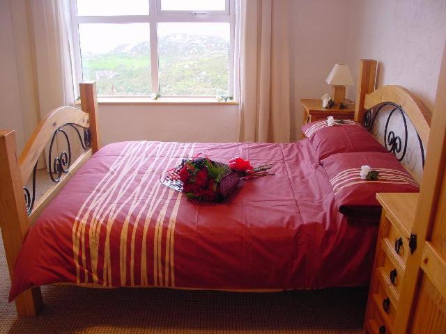 Crohy Cottage view 2