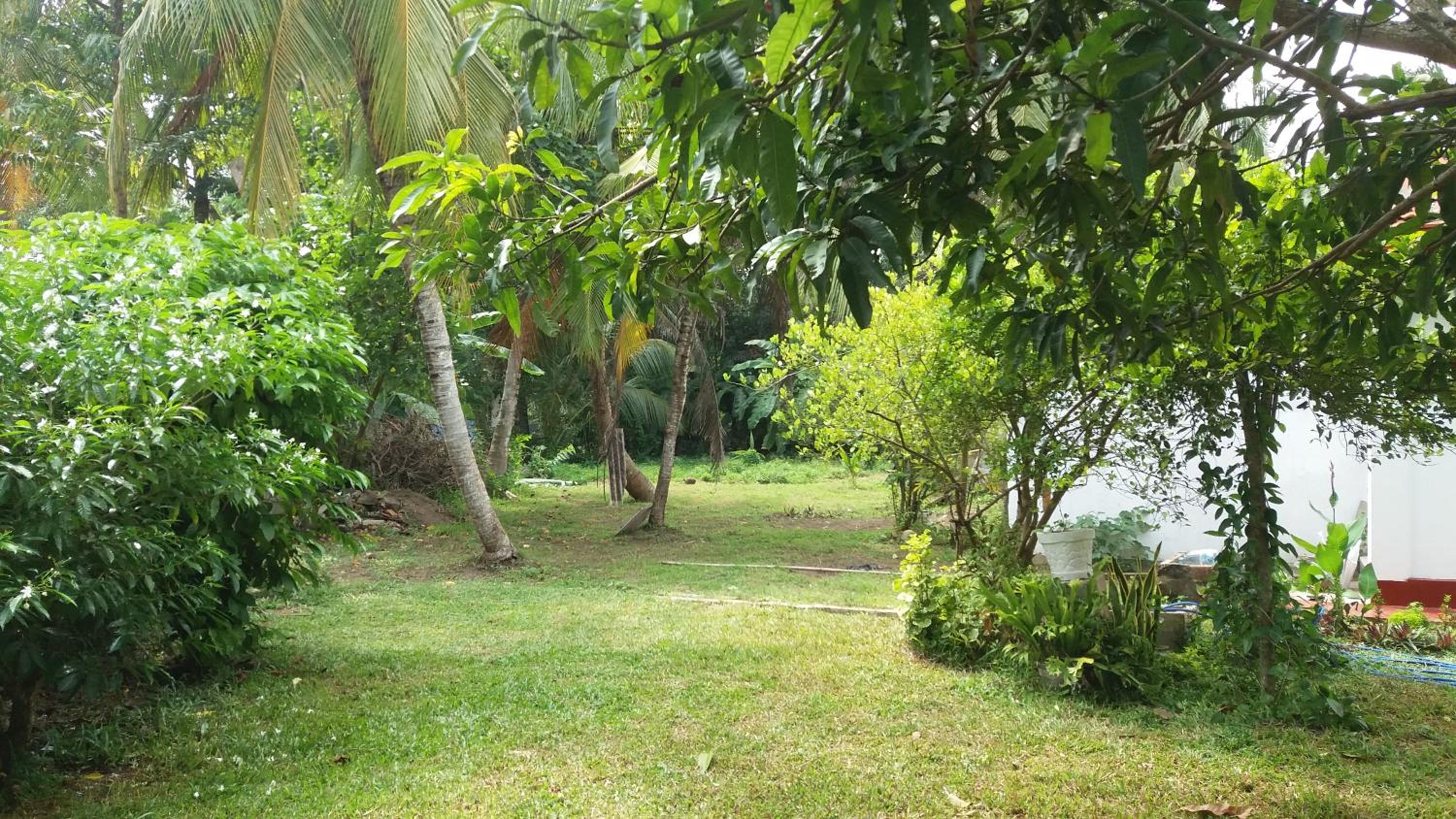 Photo 33