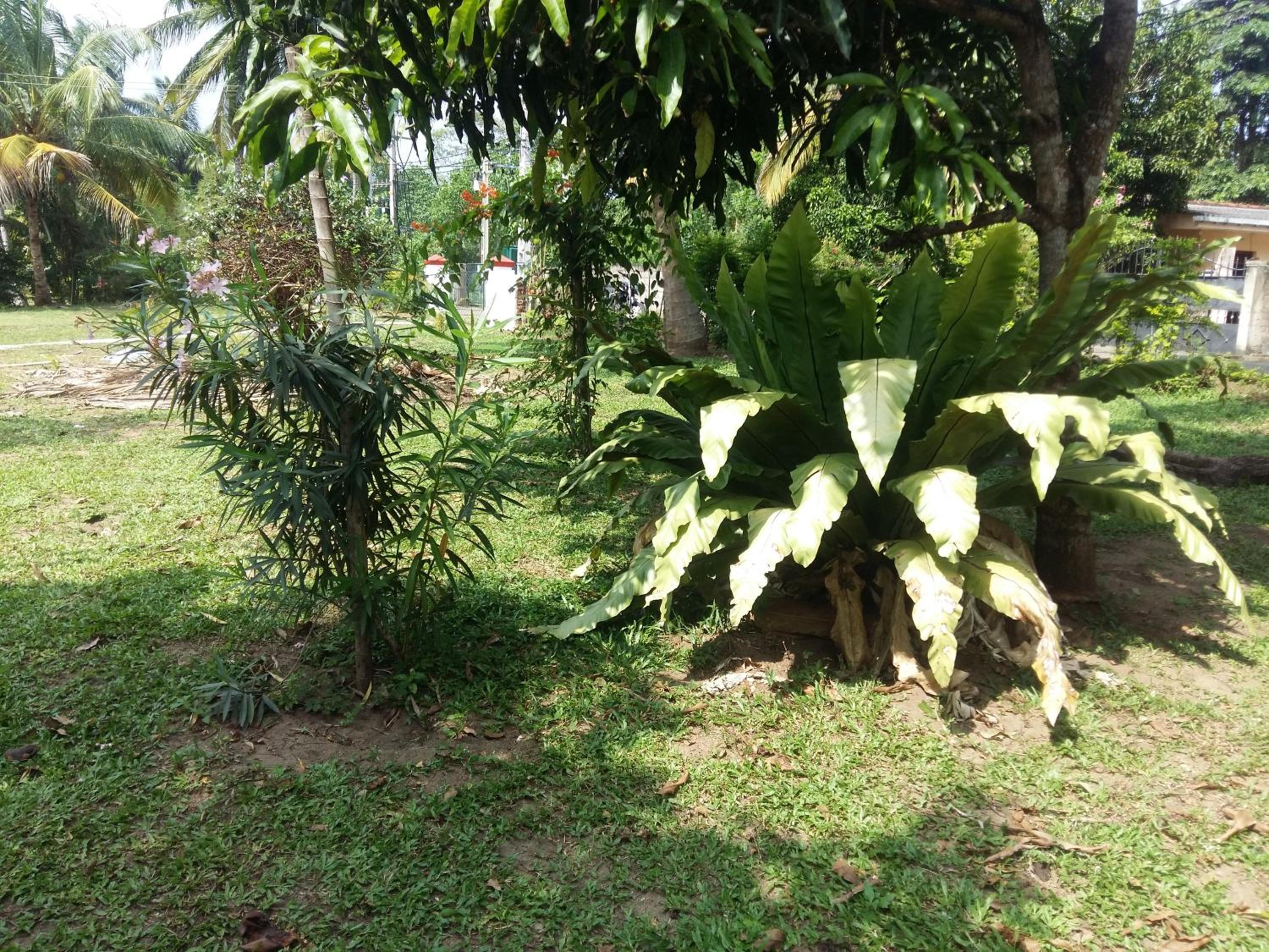 Photo 36