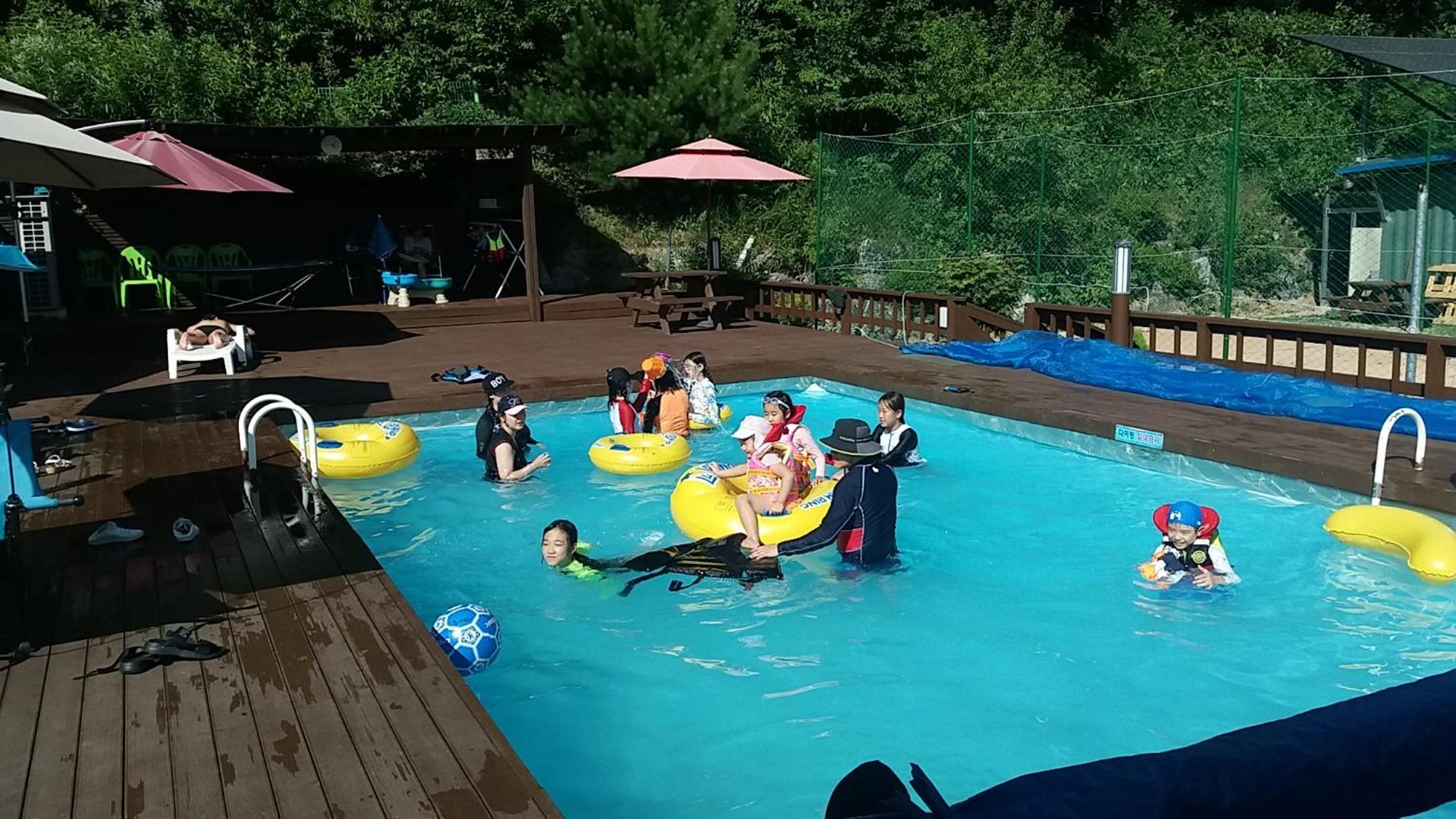 Forest of Color Pension