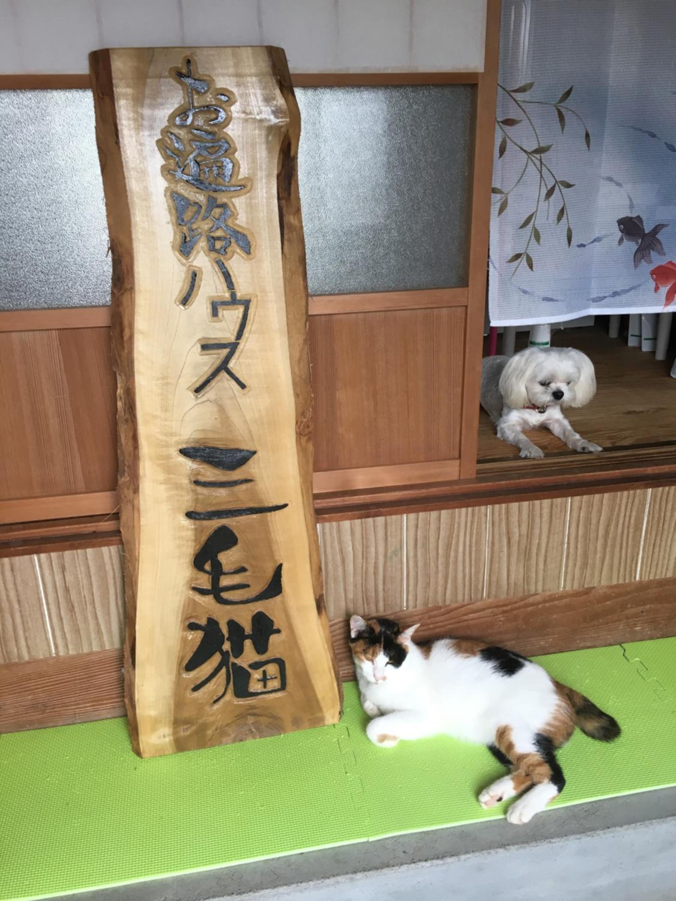 Ioki Station Guest House view 4