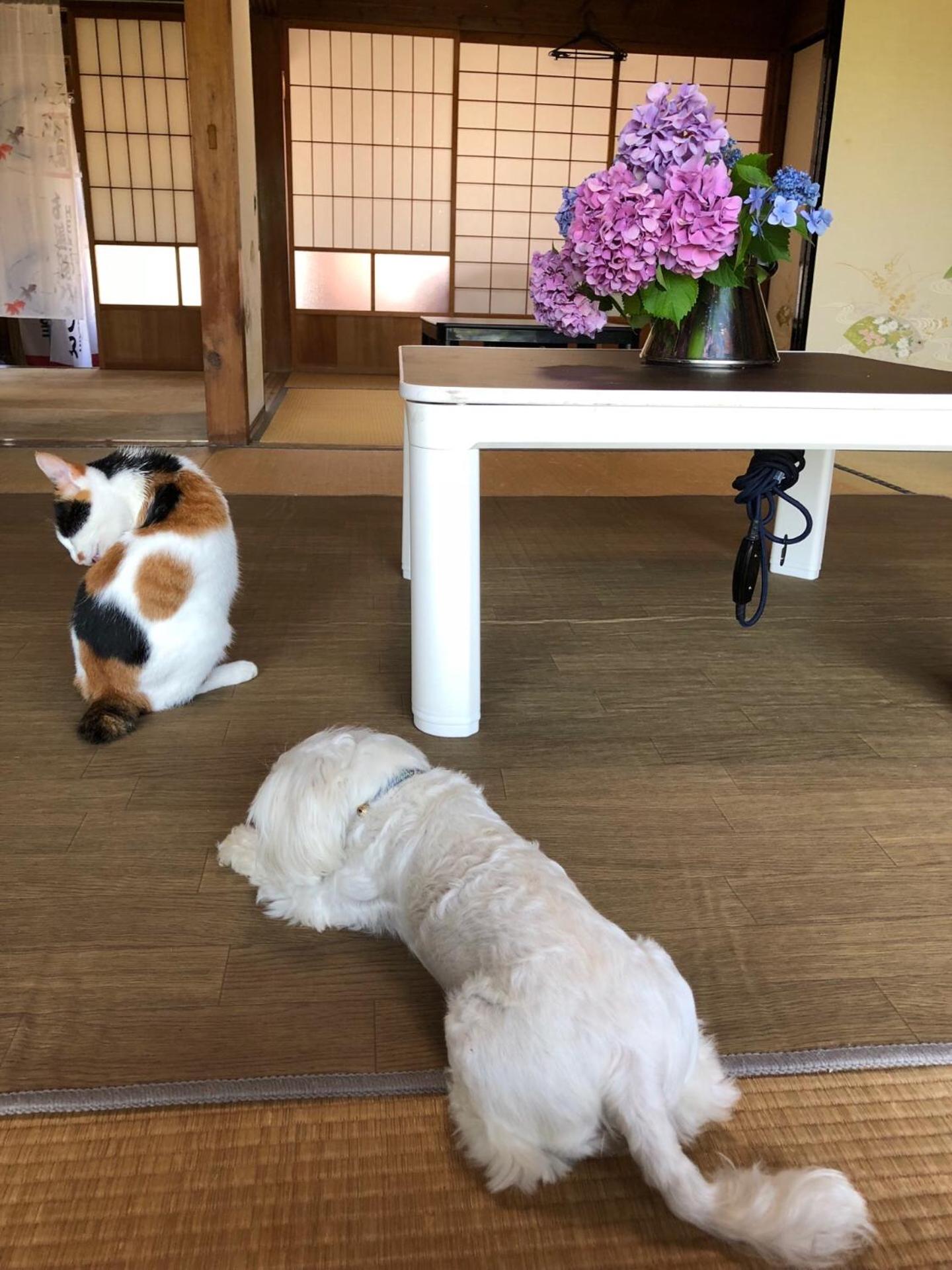 Ioki Station Guest House view 3