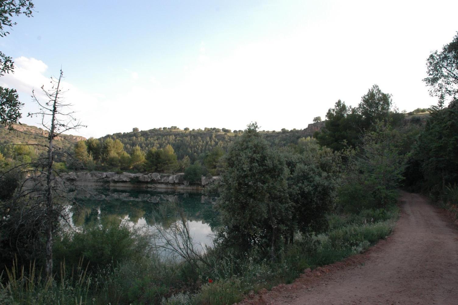 Photo 15