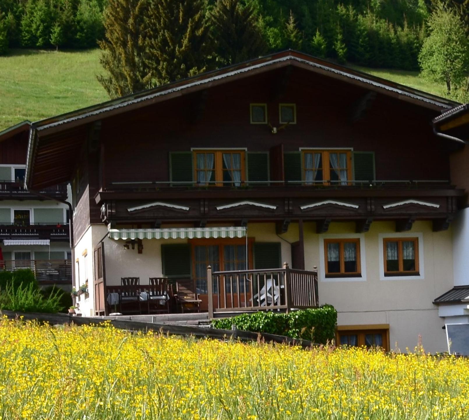 Haus Schwaighofer view 3