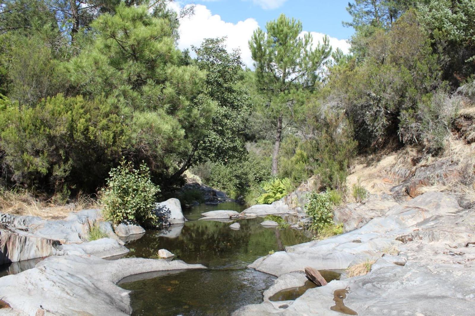 Photo 31