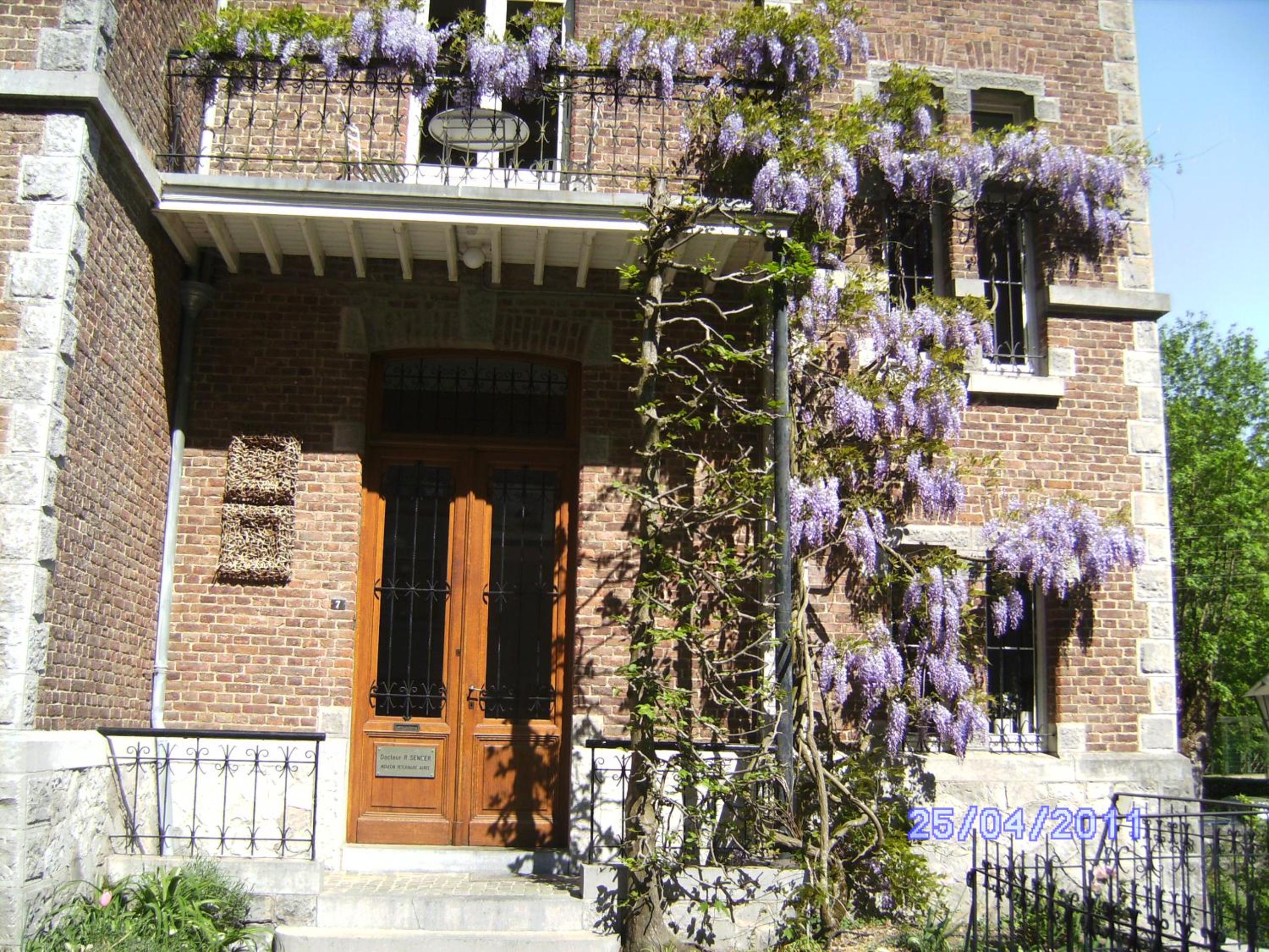 Photo 41