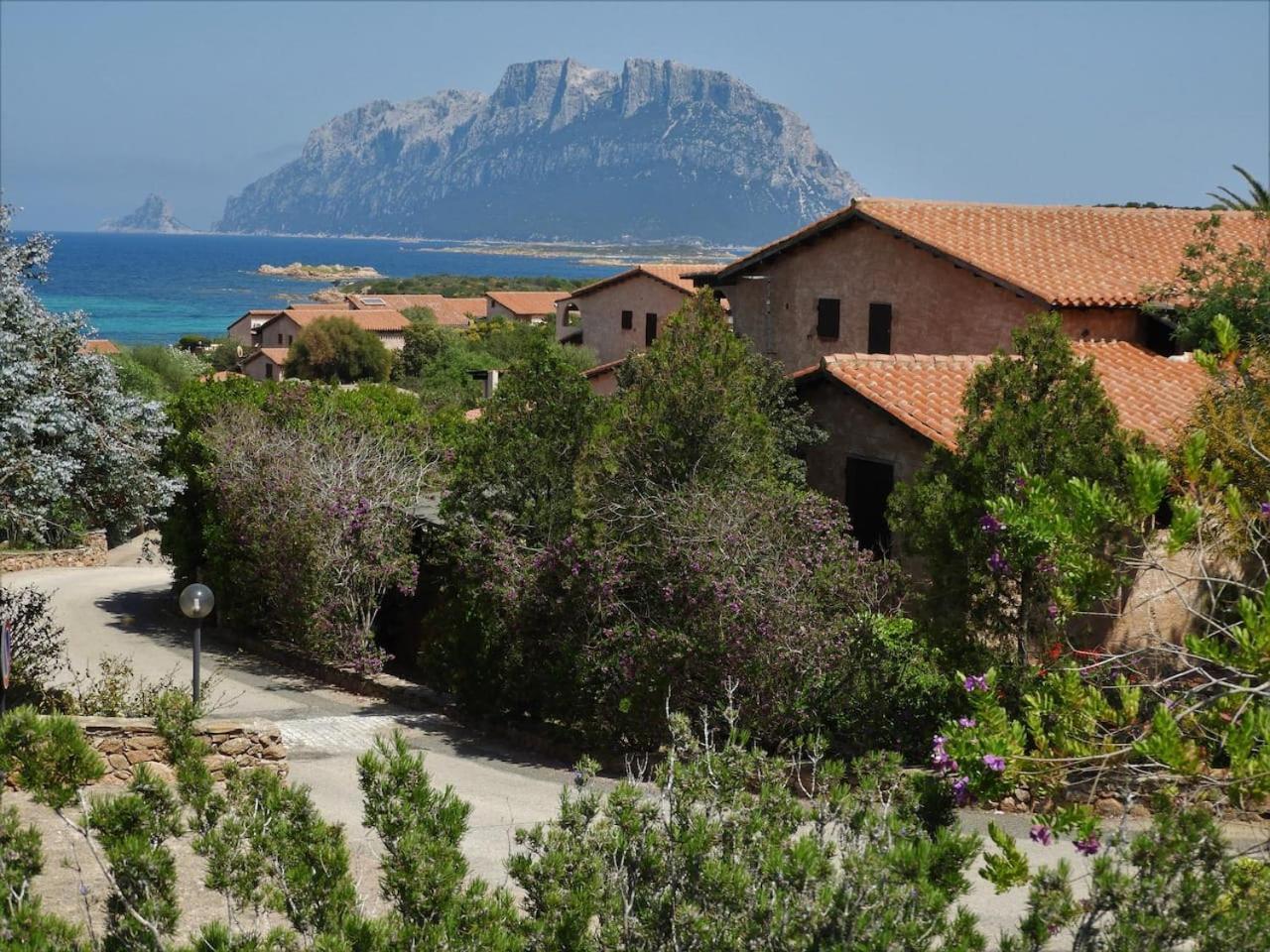 Casa Costa Corallina Mare view 2