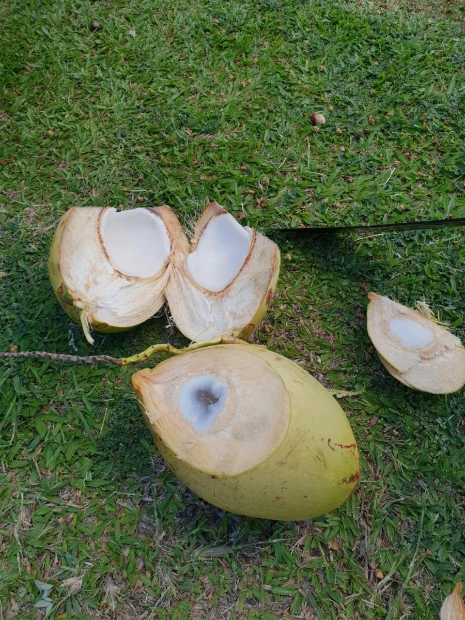Vert Océan