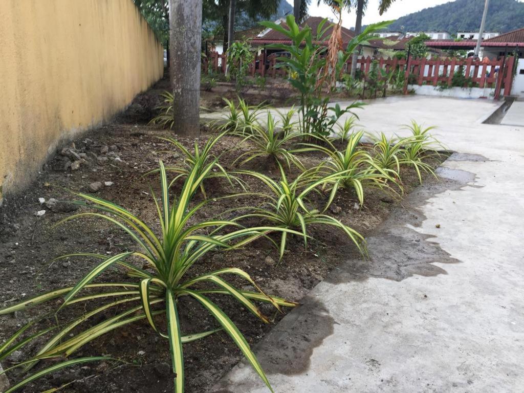 The Garden Vacation Home photo 8