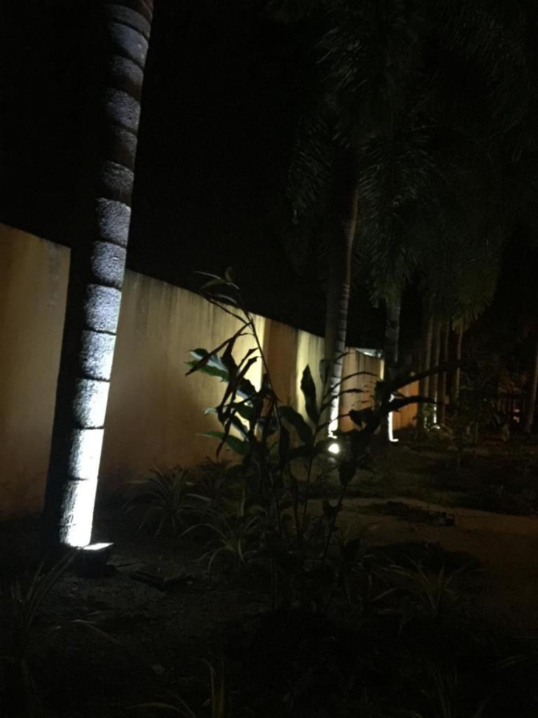 Photo 22