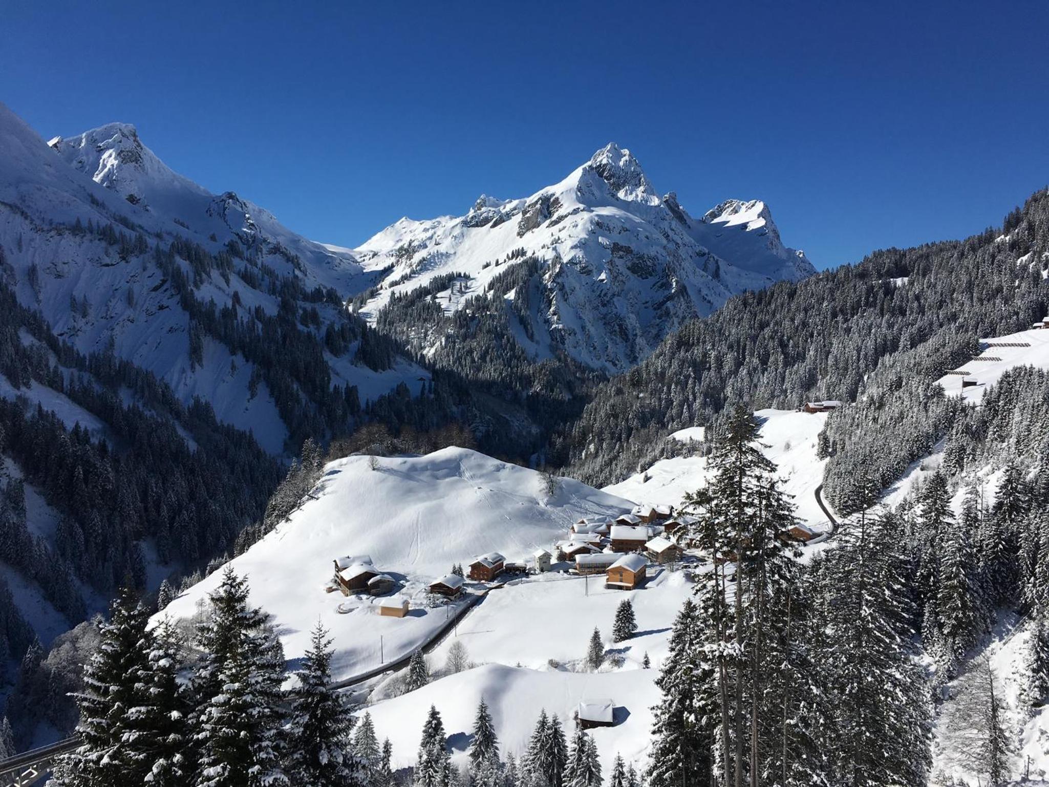 Bergwelt-M