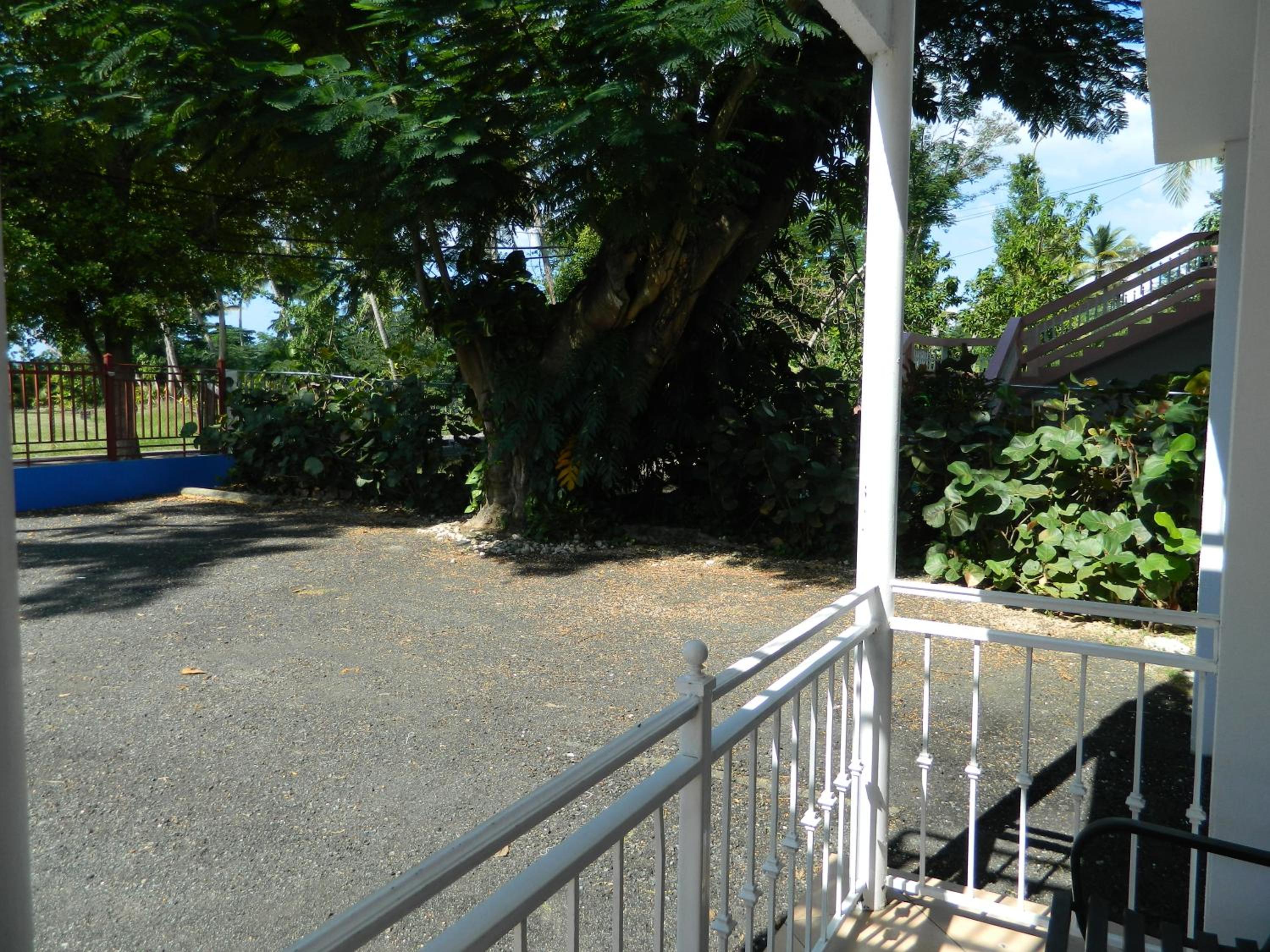 Photo 41