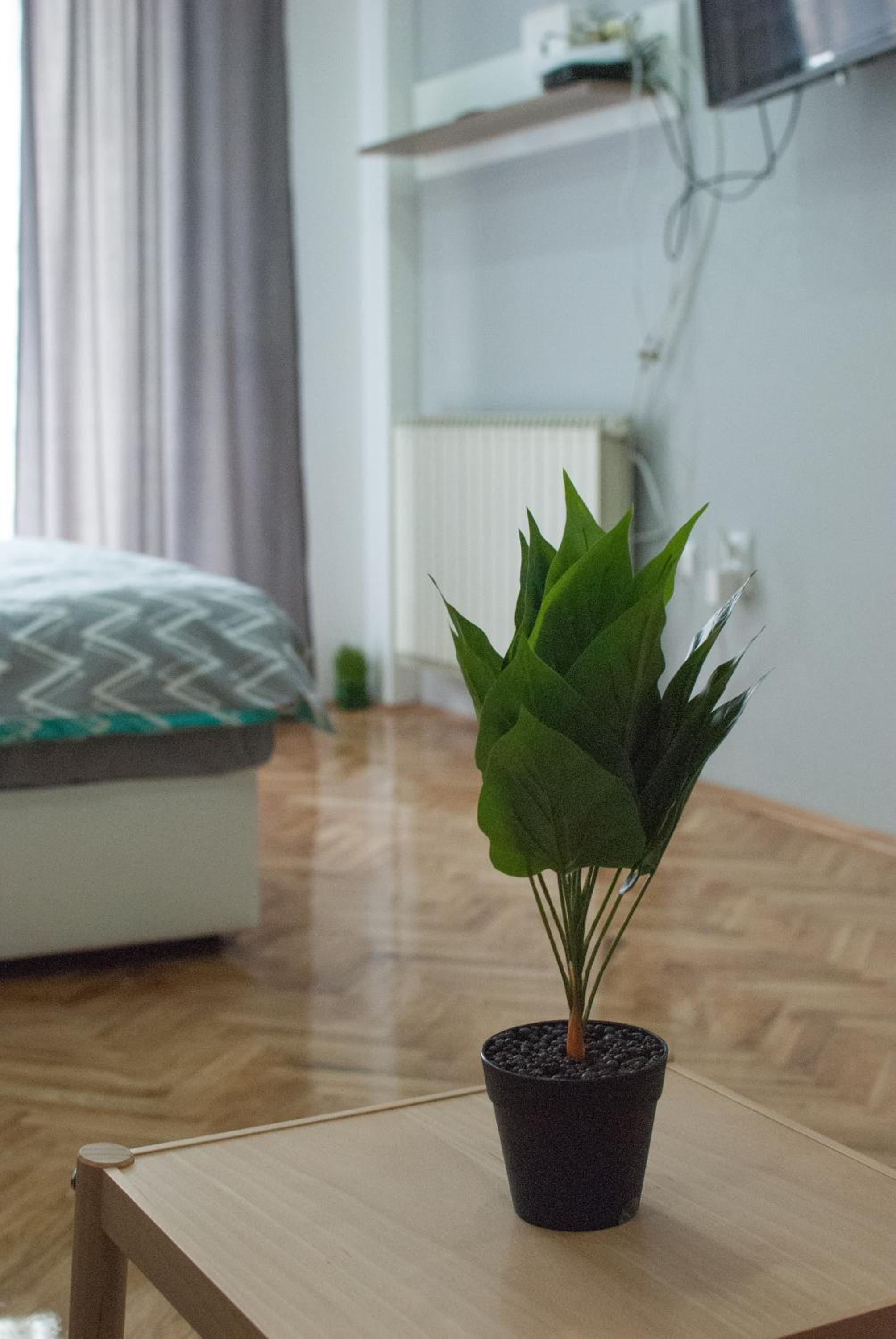 MM Lux Apartment, Novi Sad view 2