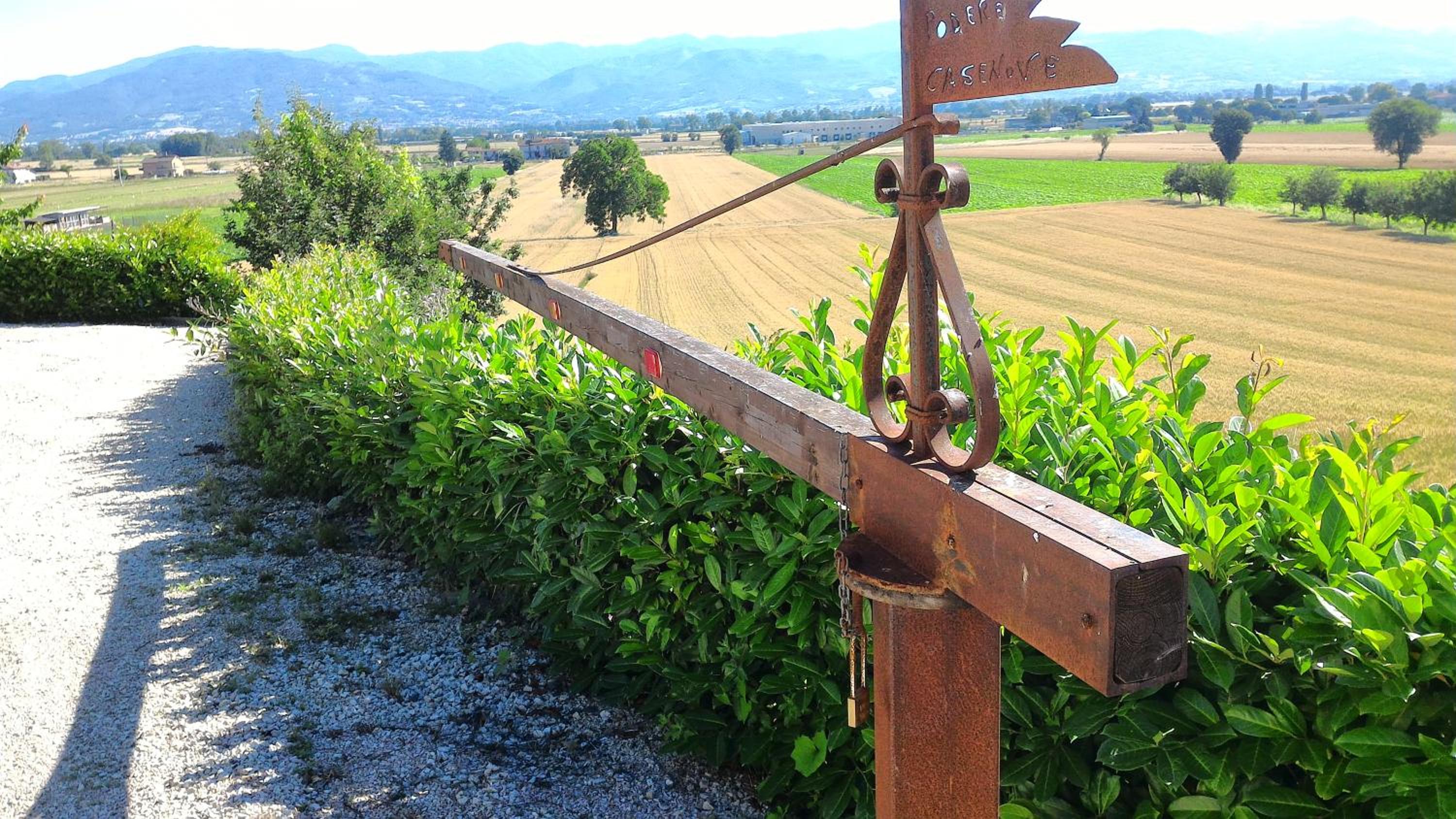 Podere Casenove