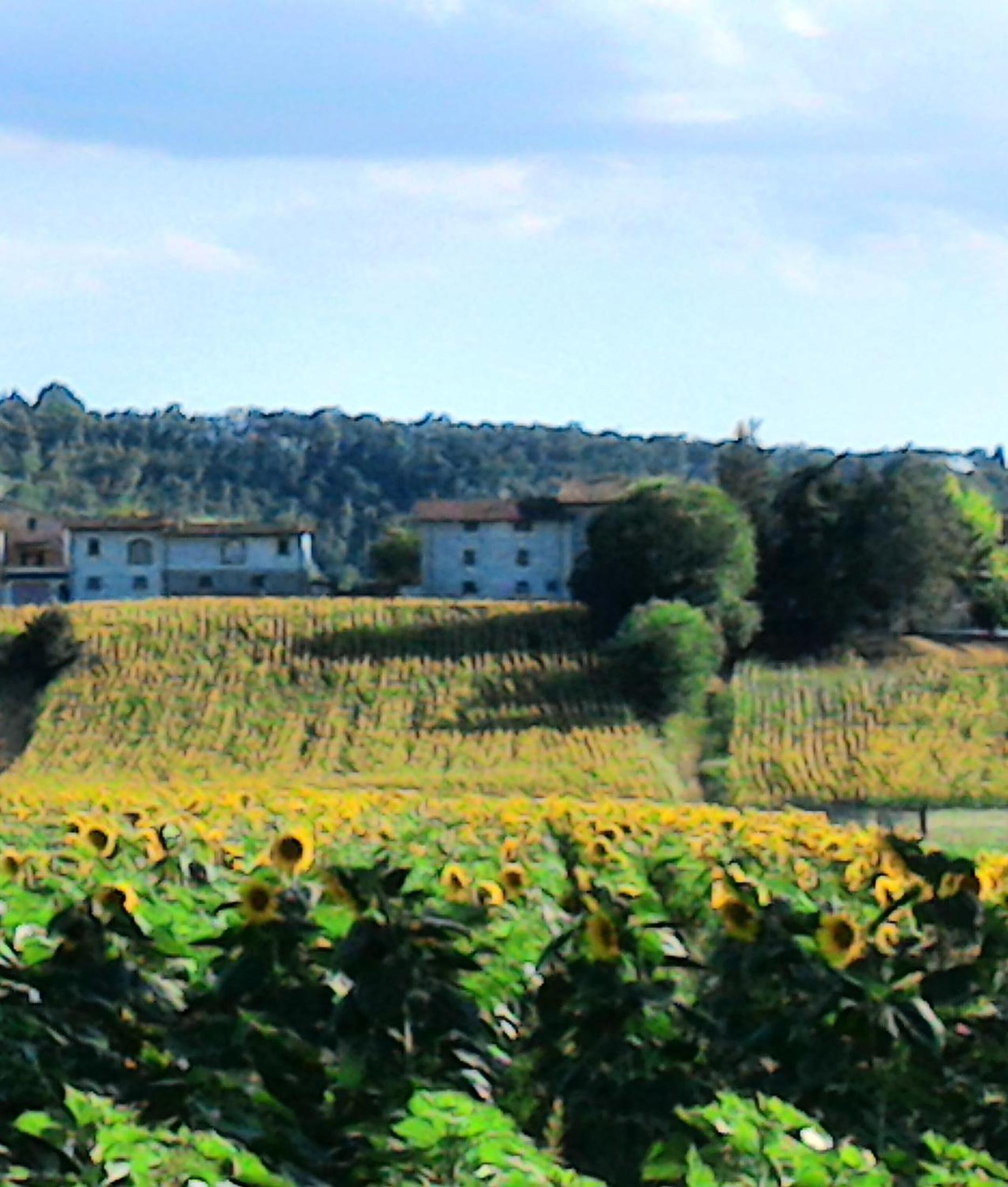 Podere Casenove