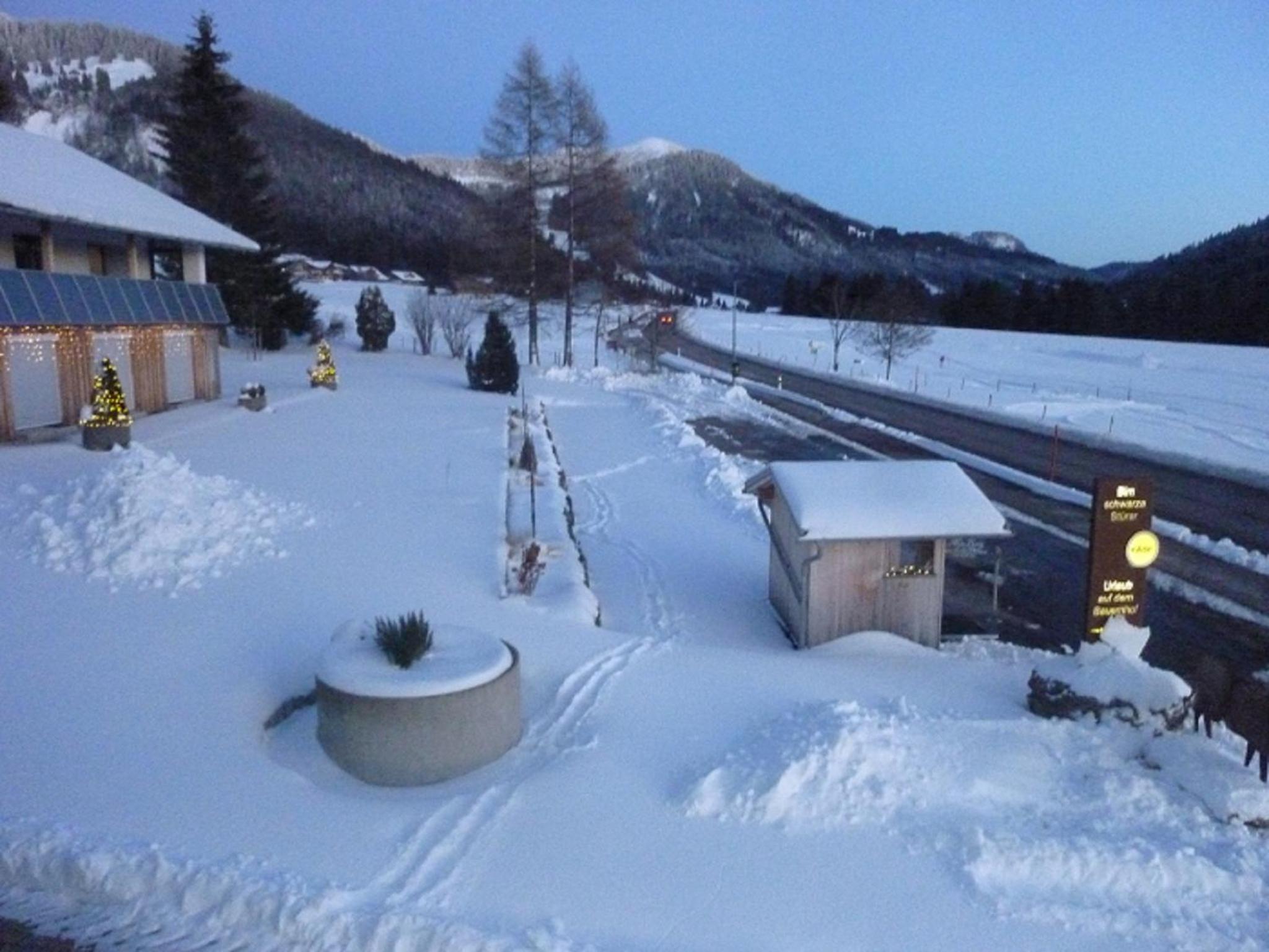 Hotel Ferienhof "Alpe Berg" - Image 1