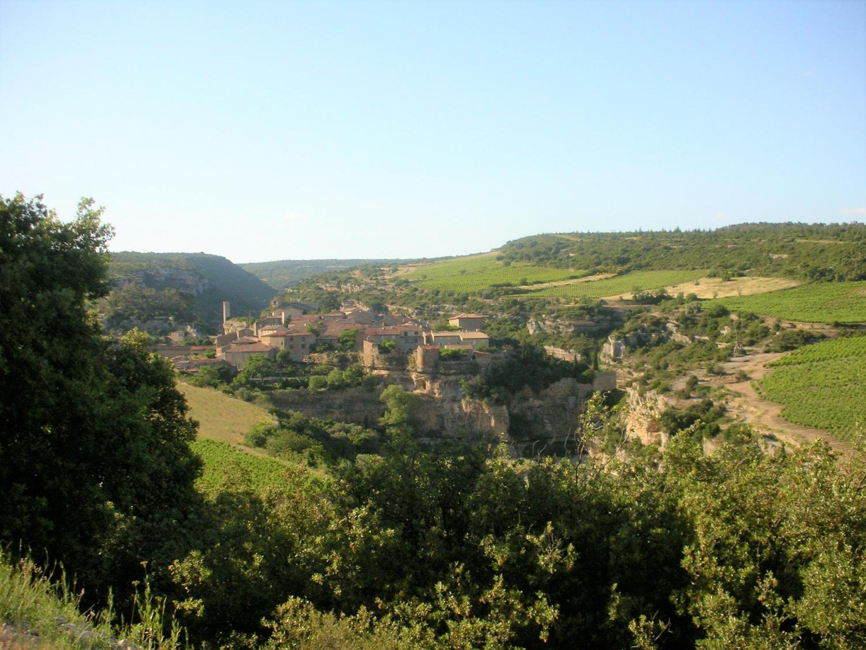 Photo 12