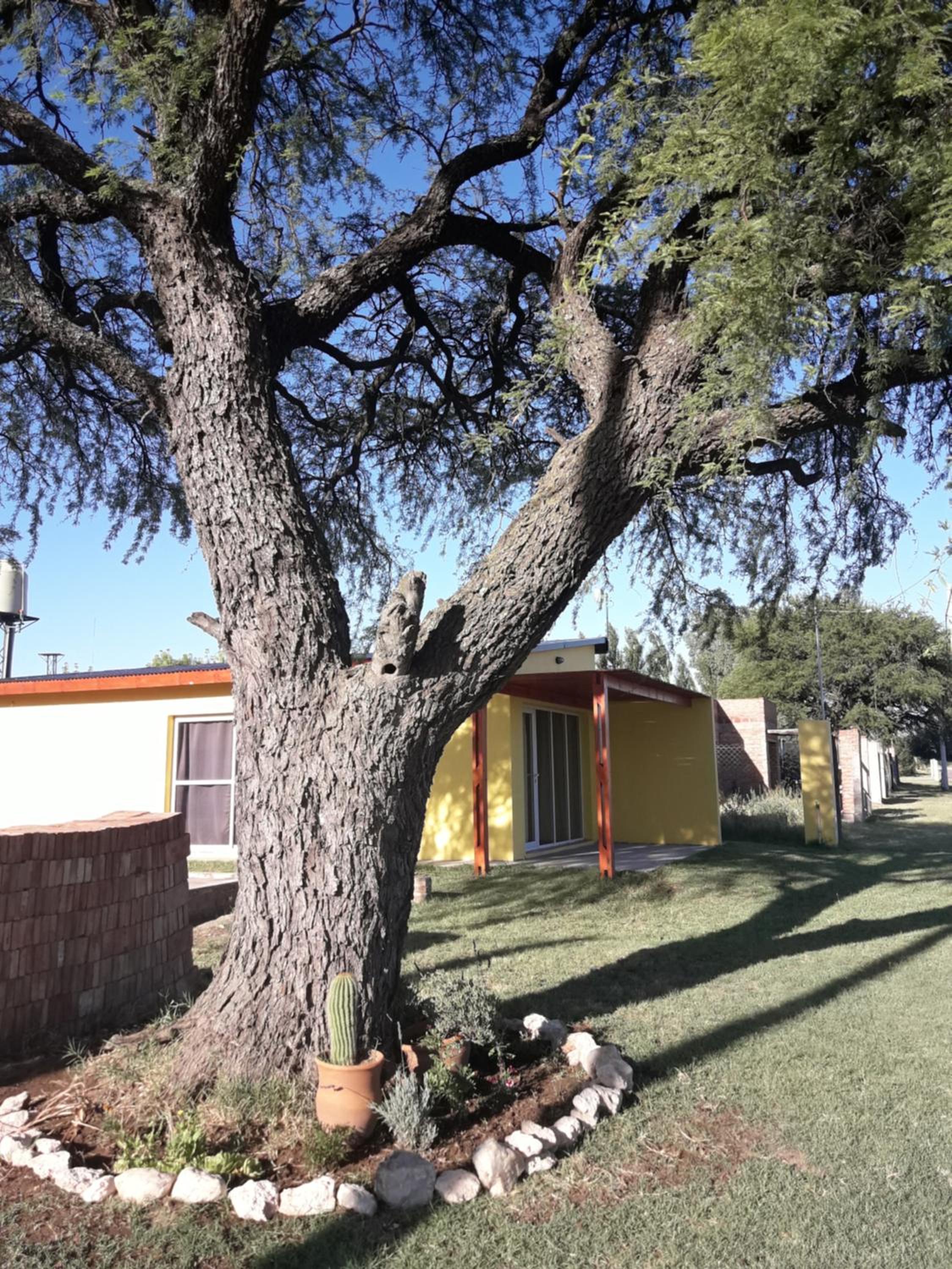 Departamento Teodelina