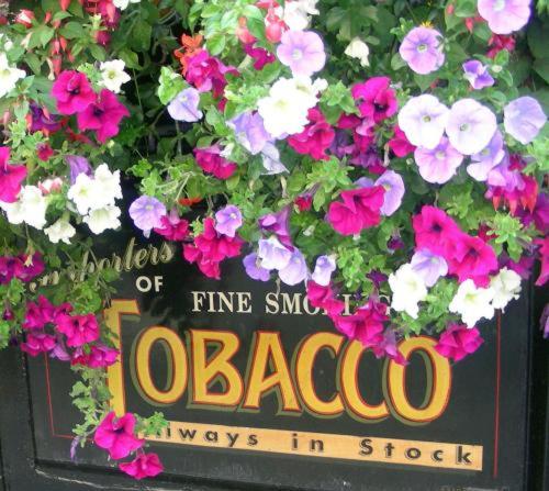 O'Neills Victorian Pub & Townhouse