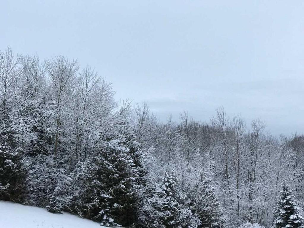 Our Valley View Bed & Breakfast