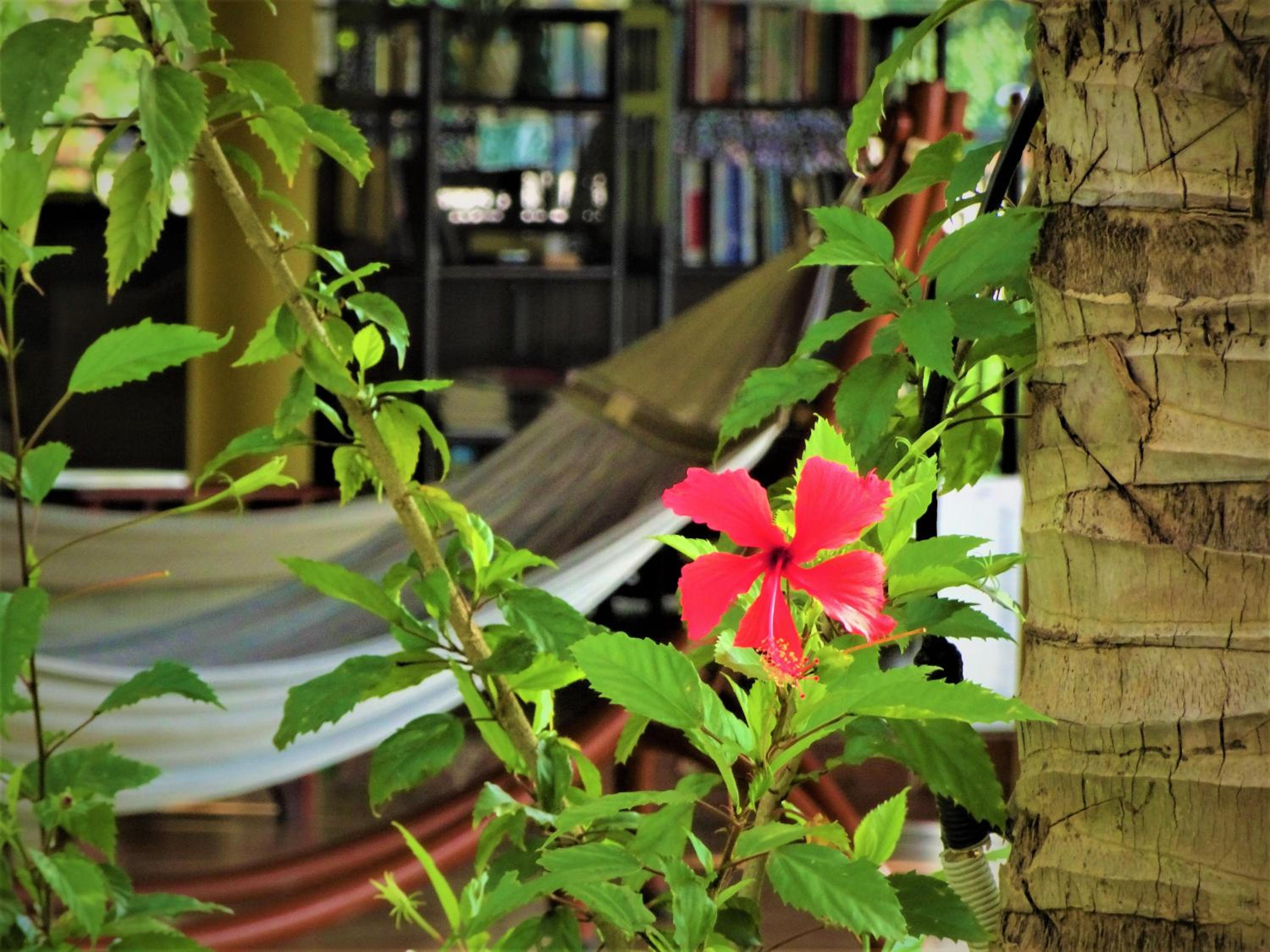 Mango Home Riverside Eco - Resort