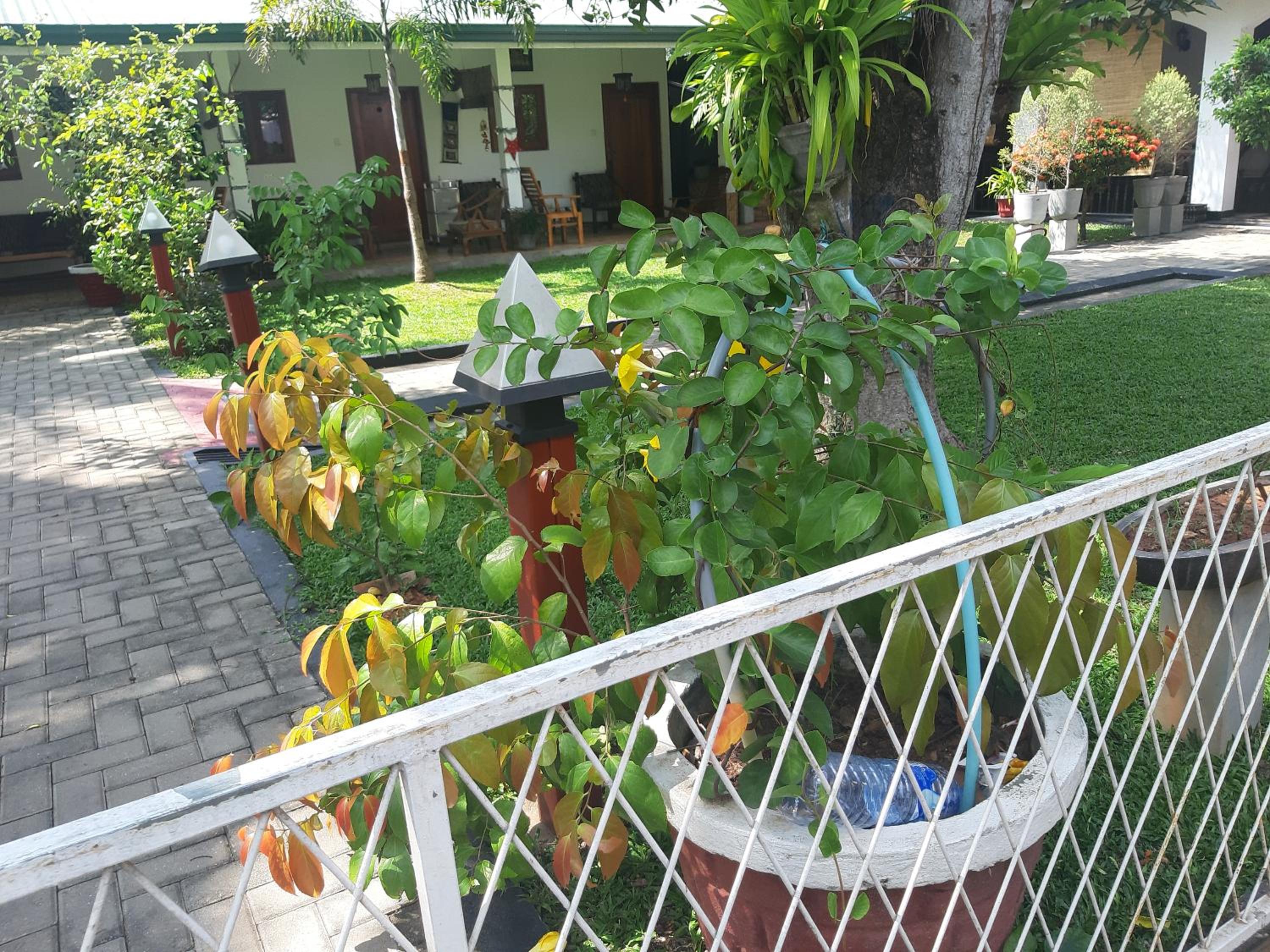 Photo 27