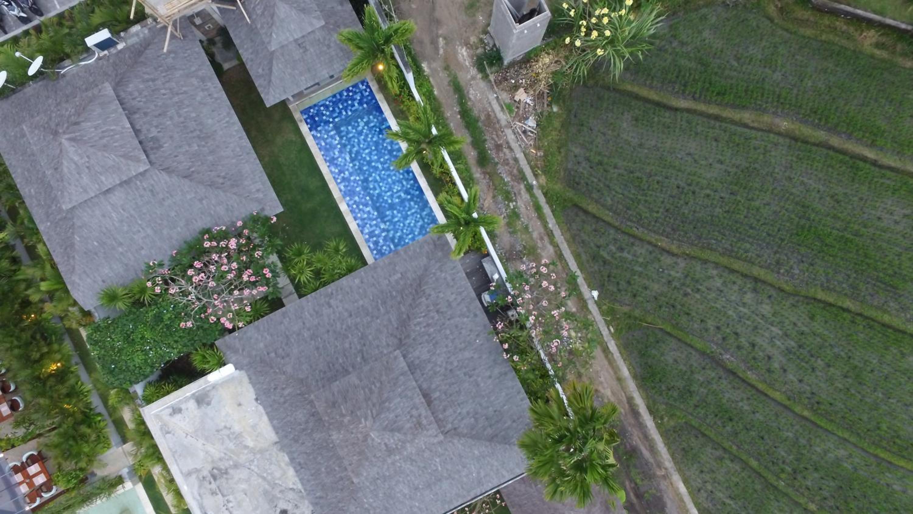 The Plantation at Batu Belig view 4