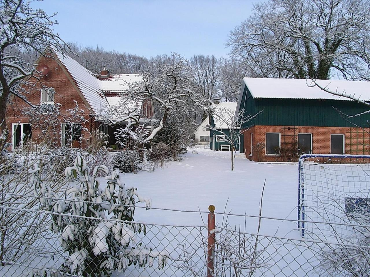 Photo 32